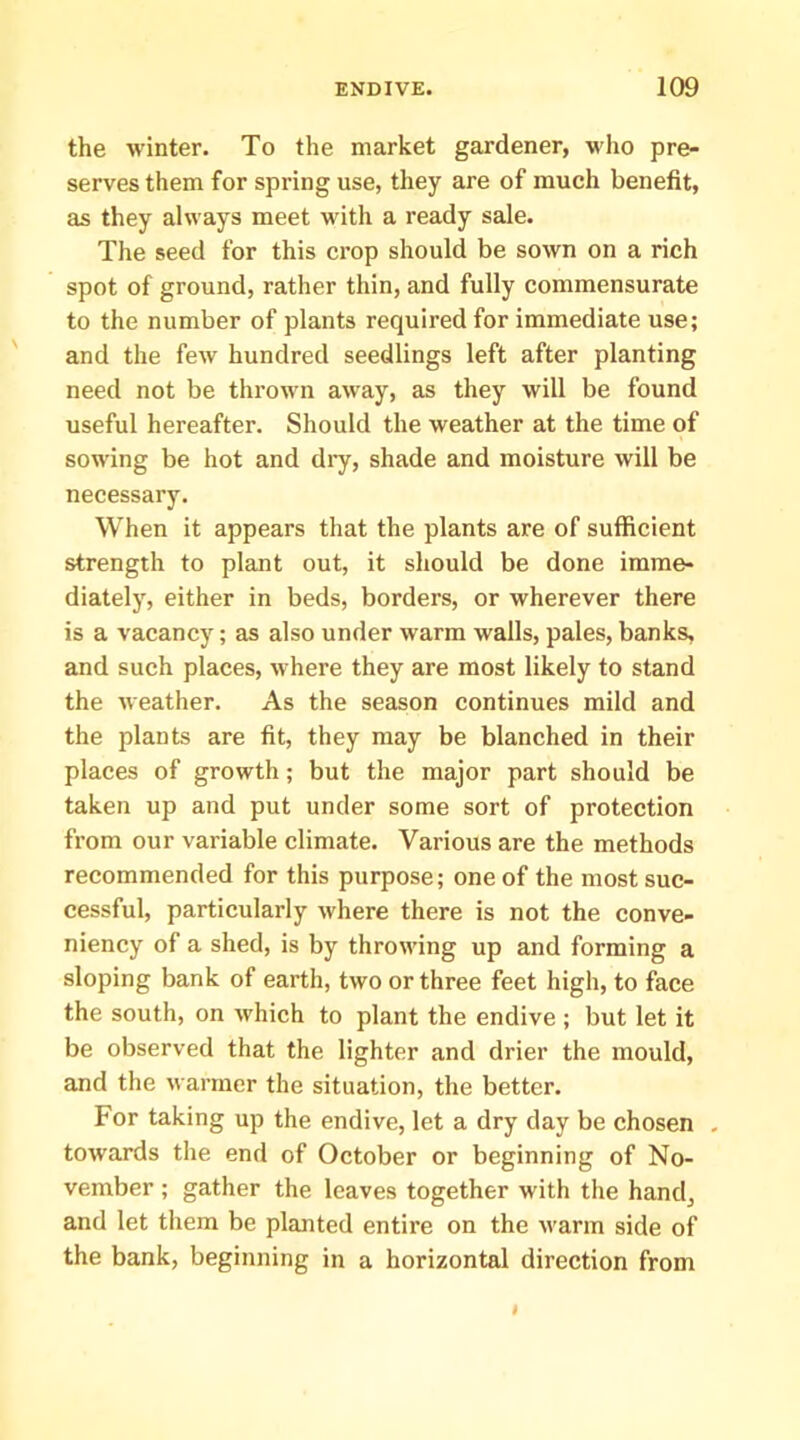 the winter. To the market gardener, who pre- serves them for spring use, they are of much benefit, as they always meet with a ready sale. The seed for this crop should be sown on a rich spot of ground, rather thin, and fully commensurate to the number of plants required for immediate use; and the few hundred seedlings left after planting need not be thrown away, as they will be found useful hereafter. Should the weather at the time of sowing be hot and dry, shade and moisture will be necessary. When it appears that the plants are of sufficient strength to plant out, it should be done imme- diately, either in beds, borders, or wherever there is a vacancy; as also under warm walls, pales, banks, and such places, where they are most likely to stand the weather. As the season continues mild and the plants are fit, they may be blanched in their places of growth; but the major part should be taken up and put under some sort of protection from our variable climate. Various are the methods recommended for this purpose; one of the most suc- cessful, particularly where there is not the conve- niency of a shed, is by throwing up and forming a sloping bank of earth, two or three feet high, to face the south, on which to plant the endive ; but let it be observed that the lighter and drier the mould, and the warmer the situation, the better. For taking up the endive, let a dry day be chosen , towards the end of October or beginning of No- vember ; gather the leaves together with the hand, and let them be planted entire on the warm side of the bank, beginning in a horizontal direction from