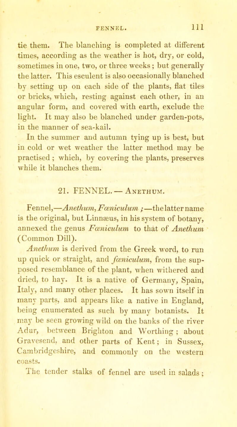 tie them. The blanching is completed at different times, according as the weather is hot, dry, or cold, sometimes in one, two, or three weeks; but generally the latter. This esculent is also occasionally blanched by setting up on each side of the plants, flat tiles or bricks, which, resting against each other, in an angular form, and covered with earth, exclude the light. It may also be blanched under garden-pots, in the manner of sea-kail. In the summer and autumn tying up is best, but in cold or wet weather the latter method may be practised ; which, by covering the plants, preserves while it blanches them. 21. FENNEL. — Anethum. Fennel,—Anethum, Fceniculum ;—the latter name is the original, but Linnaeus, in his system of botany, annexed the genus Fceniculum to that of Anethum (Common Dill). Anethum is derived from the Greek word, to run up quick or straight, and fceniculum, from the sup- posed resemblance of the plant, when withered and dried, to hay. It is a native of Germany, Spain, Italy, and many other places. It has sown itself in many parts, and appears like a native in England, being enumerated as such by many botanists. It may be seen growing wild on the banks of the river Adur, between Brighton and Worthing ; about Gravesend, and other parts of Kent; in Sussex, Cambridgeshire, and commonly on the western coasts. The tender stalks of fennel are used in salads;