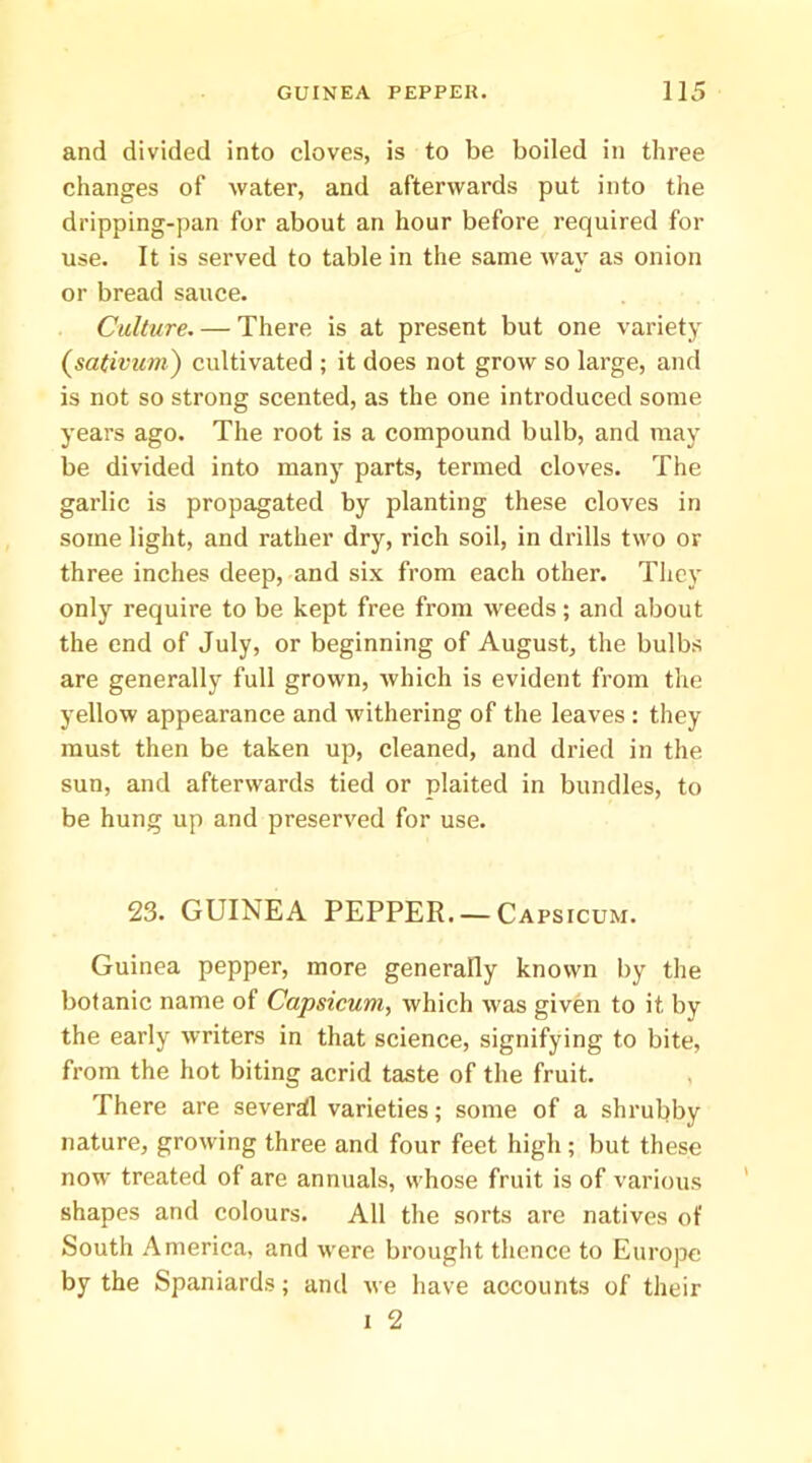 and divided into cloves, is to be boiled in three changes of water, and afterwards put into the dripping-pan for about an hour before required for use. It is served to table in the same way as onion or bread sauce. Culture. — There is at present but one variety (sa(ivum) cultivated ; it does not grow so large, and is not so strong scented, as the one introduced some years ago. The root is a compound bulb, and may be divided into many parts, termed cloves. The garlic is propagated by planting these cloves in some light, and rather dry, rich soil, in drills two or three inches deep, and six from each other. They only require to be kept free from weeds; and about the end of July, or beginning of August, the bulbs are generally full grown, which is evident from the yellow appearance and withering of the leaves : they must then be taken up, cleaned, and dried in the sun, and afterwards tied or plaited in bundles, to be hung up and preserved for use. 23. GUINEA PEPPER. —Capsicum. Guinea pepper, more generally known by the botanic name of Capsicum, which was given to it by the early writers in that science, signifying to bite, from the hot biting acrid taste of the fruit. There are several varieties; some of a shrubby nature, growing three and four feet high; but these now treated of are annuals, whose fruit is of various shapes and colours. All the sorts are natives of South America, and were brought thence to Europe by the Spaniards; and we have accounts of their