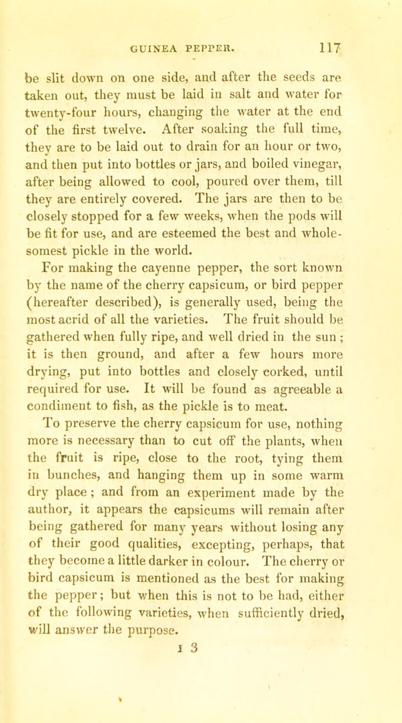 be slit down on one side, and after the seeds are taken out, they must be laid in salt and water for twenty-four hours, changing the water at the end of the first twelve. After soaking the full time, they are to be laid out to drain for an hour or two, and then put into bottles or jars, and boiled vinegar, after being allowed to cool, poured over them, till they are entirely covered. The jars are then to be closely stopped for a few weeks, when the pods wdll be fit for use, and are esteemed the best and whole- somest pickle in the world. For making the cayenne pepper, the sort known by the name of the cherry capsicum, or bird pepper (hereafter described), is generally used, being the most acrid of all the varieties. The fruit should be gathered when fully ripe, and well dried in the sun ; it is then ground, and after a few hours more drying, put into bottles and closely corked, until required for use. It will be found as agreeable a condiment to fish, as the pickle is to meat. To preserve the cherry capsicum for use, nothing more is necessary than to cut off the plants, when the fruit is ripe, close to the root, tying them in bunches, and hanging them up in some w'arm dry place ; and from an experiment made by the author, it appears the capsicums will remain after being gathered for many years without losing any of their good qualities, excepting, perhaps, that they become a little darker in colour. The cherry or bird capsicum is mentioned as the best for making the pepper; but when this is not to be had, either of the following varieties, when sufficiently dried, will answer tlie purpose.