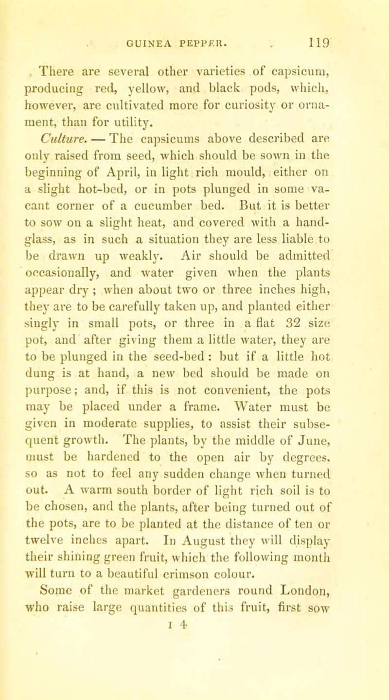 . There are several other varieties of capsicum, producing red, yellow, and black pods, which, however, are cultivated more for curiosity or orna- ment, than for utility. Culture. — The capsicums above described arc only raised from seed, which should be sown in the beginning of April, in light rich mould, either on a slight hot-bed, or in pots plunged in some va- cant corner of a cucumber bed. But it is better to sow on a slight heat, and covered with a hand- glass, as in such a situation they are less liable to be drawn up weakly. Air should be admitted occasionally, and water given when the plants appear dry ; when about two or three inches high, they are to be carefully taken up, and planted either singly in small pots, or three in a flat 32 size pot, and after giving them a little water, they are to be plunged in the seed-bed : but if a little hot dung is at hand, a new bed should be made on purpose; and, if this is not convenient, the pots may be placed under a frame. Water must be given in moderate supplies, to assist their subse- quent growth. The plants, by the middle of June, must be hardened to the open air by degrees, so as not to feel any sudden change when turned out. A warm south border of light rich soil is to be chosen, and the plants, after being turned out of the pots, are to be planted at the distance of ten or twelve inches apart. In August they will display their shining green fruit, which the following month will turn to a beautiful crimson colour. Some of the market gardeners round London, who raise large quantities of this fruit, first sow