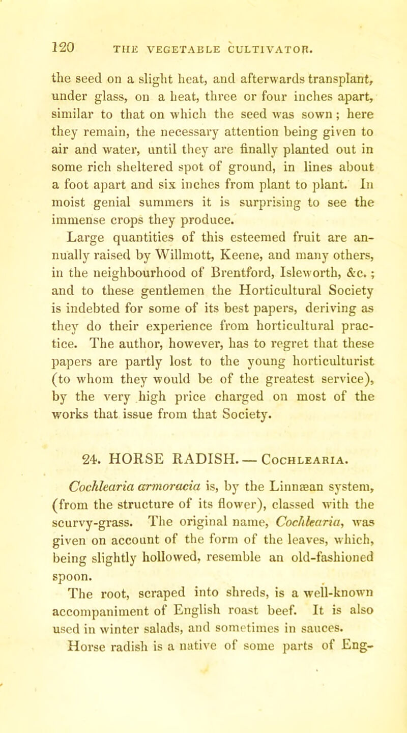 the seed on a slight heat, and afterwards transplant, under glass, on a heat, three or four inches apart, similar to that on wdiich the seed was sown; here they remain, the necessary attention being given to air and water, until tliey are finally planted out in some rich sheltered spot of ground, in lines about a foot apart and six inches from plant to plant. In moist genial summers it is surprising to see the immense crops they produce. Large quantities of this esteemed fruit are an- nually raised by Willmott, Keene, and many others, in the neighbourhood of Brentford, Isleworth, &c.; and to these gentlemen the Horticultural Society is indebted for some of its best papers, deriving as they do their experience from horticultural prac- tice. The author, however, has to regret that these papers are partly lost to the young horticulturist (to whom they would be of the greatest service), by the very high price charged on most of the works that issue from that Society. 24. HORSE RADISH— Cochleakia. Cochlearia armoracia is, by the Linnaean system, (from the structure of its flower), classed with the scurvy-grass. The original name, Cochlearia, was given on account of the form of the leaves, which, being slightly hollowed, resemble an old-fashioned spoon. The root, scraped into shreds, is a w'ell-known accompaniment of English roast beef. It is also used in winter salads, and sometimes in sauces. Horse radish is a native of some parts of Eng-