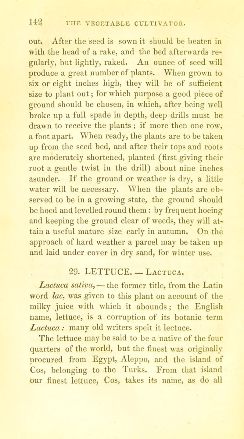 out. After the seed is sown it should be beaten in with the head of a rake, and the bed afterwards re- gularly, but lightly, raked. An ounce of seed will produce a great number of plants. When grown to six or eight inches high, they will be of sufficient size to plant out; for which, purpose a good piece of ground should be chosen, in which, after being well broke up a full spade in depth, deep drills must be drawn to receive the plants ; if more then one row, a foot apart. When ready, the plants are to be taken up from the seed bed, and after their tops and roots are moderately shortened, planted (first giving their root a gentle twist in the drill) about nine inches asunder. If the ground or Aveather is diy, a little water will be necessary. When the plants are ob- served to be in a growing state, the ground should be hoed and levelled round them: by frequent hoeing and keeping the ground clear of weeds, they Avill at- tain a useful mature size early in autumn. On the approach of hard weather a parcel may be taken up and laid under cover in dry sand, for Avinter use. 29. LETTUCE. — Lactdca. Lactucu saliva, — the former title, from the Latin word lac, Avas given to this plant on account of the milky juice Avith Avhich it abounds; the English name, lettuce, is a corruption of its botanic term Lactuca: many old Avriters spelt it lectuce. The lettuce may be said to be a native of the four quarters of the Avorld, but the finest Avas originally procured from Egypt, Aleppo, and the island of Cos, belonging to the Turks. From that island our finest lettuce, Cos, takes its name, as do all