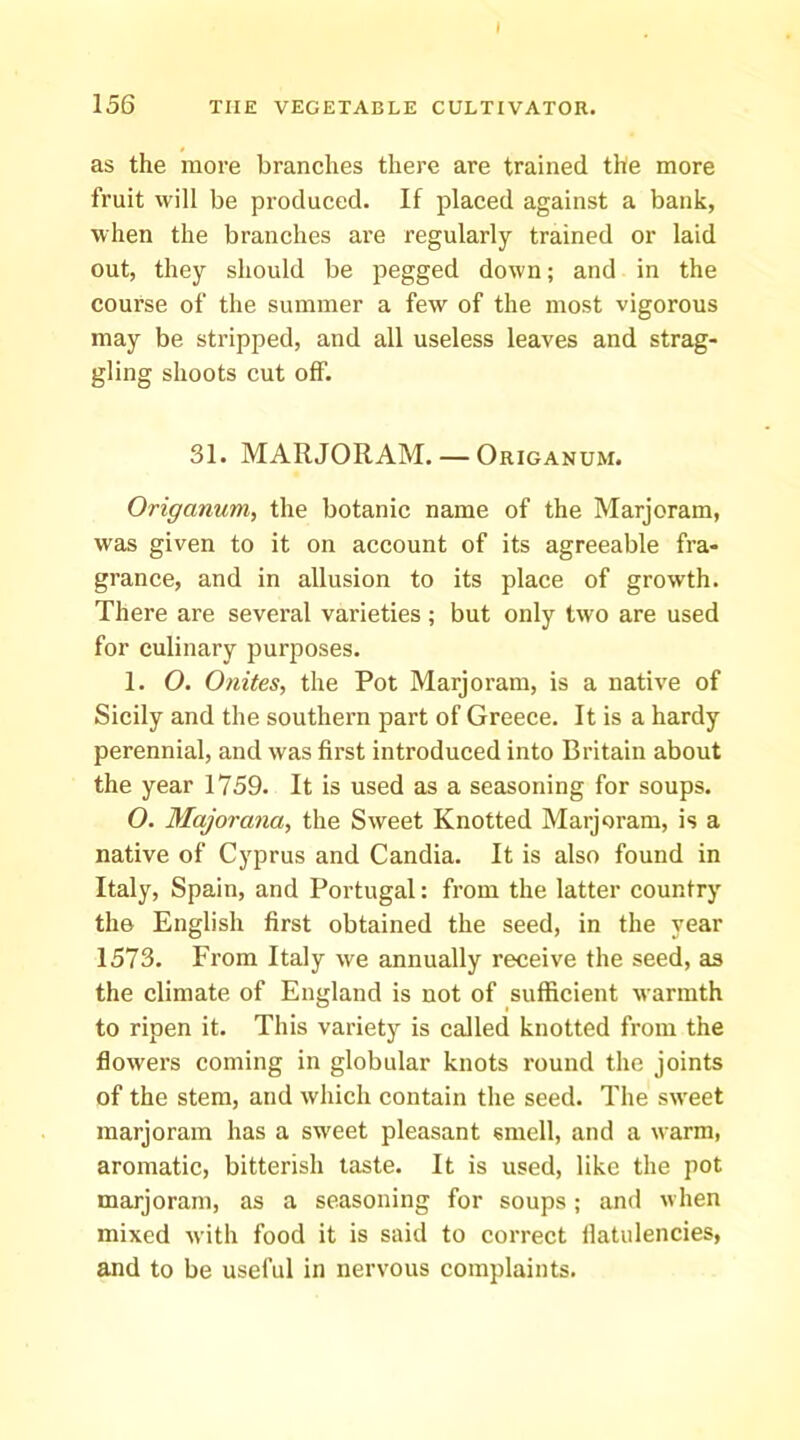 I 156 THE VEGETABLE CULTIVATOR. as the move branches there are trained the more fruit will be produced. If placed against a bank, when the branches ai’e regularly trained or laid out, they should be pegged down; and in the course of the summer a few of the most vigorous may be stripped, and all useless leaves and strag- gling shoots cut off. 31. MARJORAM. — Origanum. Origanum, the botanic name of the Marjoram, was given to it on account of its agreeable fra- grance, and in allusion to its place of growth. There are several varieties ; but only two are used for culinary purposes. 1. O. Onites, the Pot Marjoram, is a native of Sicily and the southern part of Greece. It is a hardy perennial, and was first introduced into Britain about the year 1759. It is used as a seasoning for soups. O. Majorana, the Sweet Knotted Marjoram, is a native of Cyprus and Candia. It is also found in Italy, Spain, and Portugal: from the latter country the English first obtained the seed, in the year 1573. From Italy we annually receive the seed, as the climate of England is not of sufficient warmth to ripen it. This variety is called knotted from the flowers coming in globular knots round the joints of the stem, and which contain the seed. The sweet marjoram has a sweet pleasant smell, and a warm, aromatic, bitterish taste. It is used, like the pot marjoram, as a seasoning for soups; and when mixed with food it is said to correct flatulencies, and to be useful in nervous complaints.