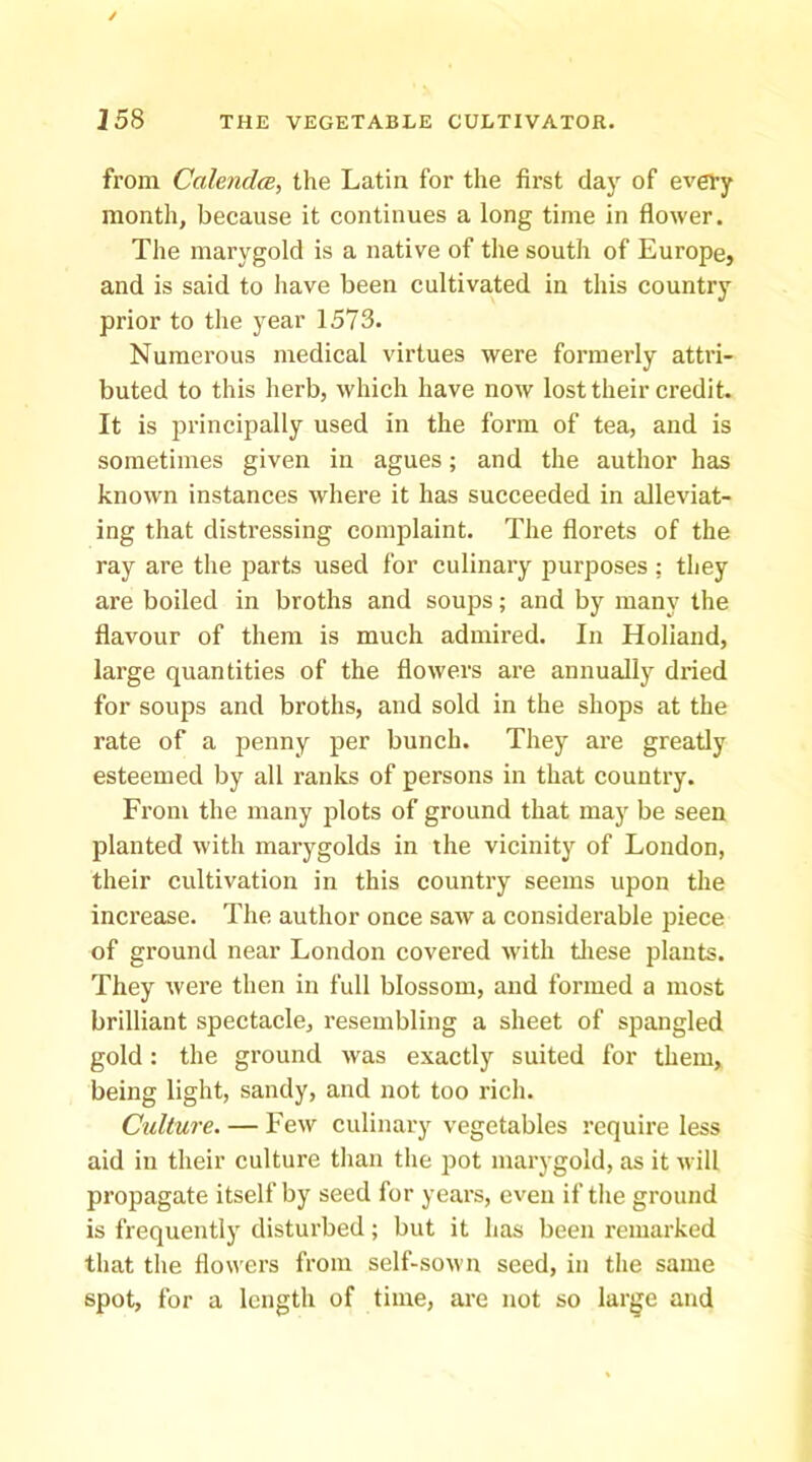 from Calendm, the Latin for the first day of every month, because it continues a long time in flower. The marygold is a native of the south of Europe, and is said to have been cultivated in this country prior to the year 1573. Numerous medical virtues were formerly attri- buted to this herb, which have now lost their credit. It is principally used in the form of tea, and is sometimes given in agues; and the author has known instances where it has succeeded in alleviat- ing that distressing complaint. The florets of the ray are the parts used for culinary purposes; they are boiled in broths and soups; and by many the flavour of them is much admired. In Holland, large quantities of the flowers are annually dried for soups and broths, and sold in the shops at the rate of a penny per bunch. They are greatly esteemed by all ranks of persons in that country. From the many plots of ground that may be seen planted with marygolds in the vicinity of London, their cultivation in this country seems upon the increase. The author once saw a considerable piece of ground near London covered with tliese plants. They were then in full blossom, and formed a most brilliant spectacle, resembling a sheet of spangled gold: the ground was exactly suited for them, being light, sandy, and not too rich. Culture. — Few culinary vegetables require less aid in their culture than the pot marygold, as it will propagate itself by seed for years, even if tlie ground is frequently disturbed; but it has been remarked that the flowers from self-sown seed, in tlie same spot, for a length of time, are not so large and