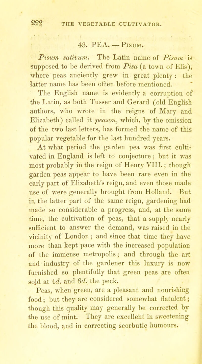 I 43. PEA. — PisuM. Pisum sativum. The Latin name of Pisum is supposed to be derived from Pisa (a town of Elis), where peas anciently grew in great plenty : the latter name has been often before mentioned. The English name is evidently a corruption of the Latin, as both Tusser and Gerard (old English authors, who wrote in the reigns of Mary and Elizabeth) called it peason, which, by the omission of the two last lettei's, has formed the name of this popular vegetable for the last hundred years. At what period the garden pea was first culti- vated in England is left to conjecture ; but it was most probably in the reign of Henry VIII.; though garden peas appear to have been rare even in the early part of Elizabeth’s reign, and even those made use of were generally brought from Holland. But in the latter part of the same reign, gardening had made so considerable a progress, and, at the same time, the cultivation of peas, that a supply nearly sufficient to answer the demand, was raised in the vicinity of London ; and since that time they have more than kept pace Avith the increased population of the immense metropolis; and through the art and industry of the gardener this luxury is now furnished so plentifully that green peas are often sojd at 4c?. and 6c?. the peck. Peas, when green, are a pleasant and nourishing food; but they are considered somewhat flatulent ; though this quality may generally be corrected by the use of mint. They arc excellent in sweetening the blood, and in correcting scorbutic humours.