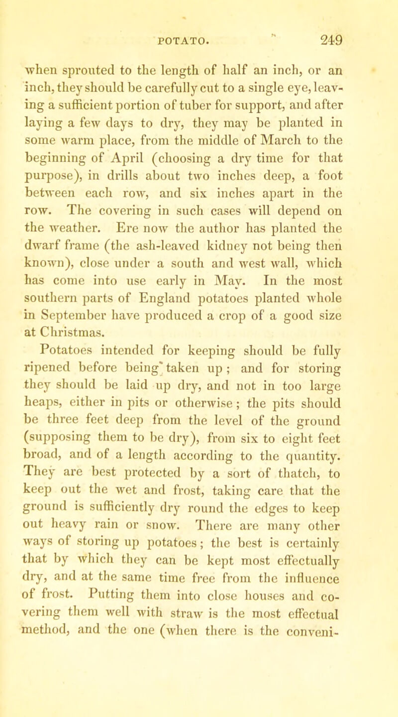 when sprouted to the length of half an inch, or an inch, they should be carefully cut to a single eye, leav- ing a sufficient portion of tuber for support, and after laying a few days to dry, they may be planted in some warm place, from the middle of March to the beginning of April (choosing a dry time for that purpose), in drills about two inches deep, a foot between each row, and six inches apart in the row. The covering in such cases will depend on the weather. Ere now the author has planted the dwarf fj'ame (the ash-leaved kidney not being then known), close under a south and west wall, which has come into use early in May. In the most southern parts of England potatoes planted Avhole in September have produced a crop of a good size at Christmas. Potatoes intended for keeping should be fully ripened before being' taken up ; and for storing they should be laid up dry, and not in too large heaps, either in pits or otherwise ; the pits should be three feet deep from the level of the ground (supposing them to be dry), from six to eight feet broad, and of a length according to the quantity. They are best protected by a sort of thatch, to keep out the wet and frost, taking care that the ground is sufficiently dry round the edges to keep out heavy rain or snow. There are many other ways of storing up potatoes; the best is certainly that by which they can be kept most effectually dry, and at the same time free from the influence of frost. Putting them into close houses and co- vering them well with straw is the most effectual method, and the one (when there, is the conveni-