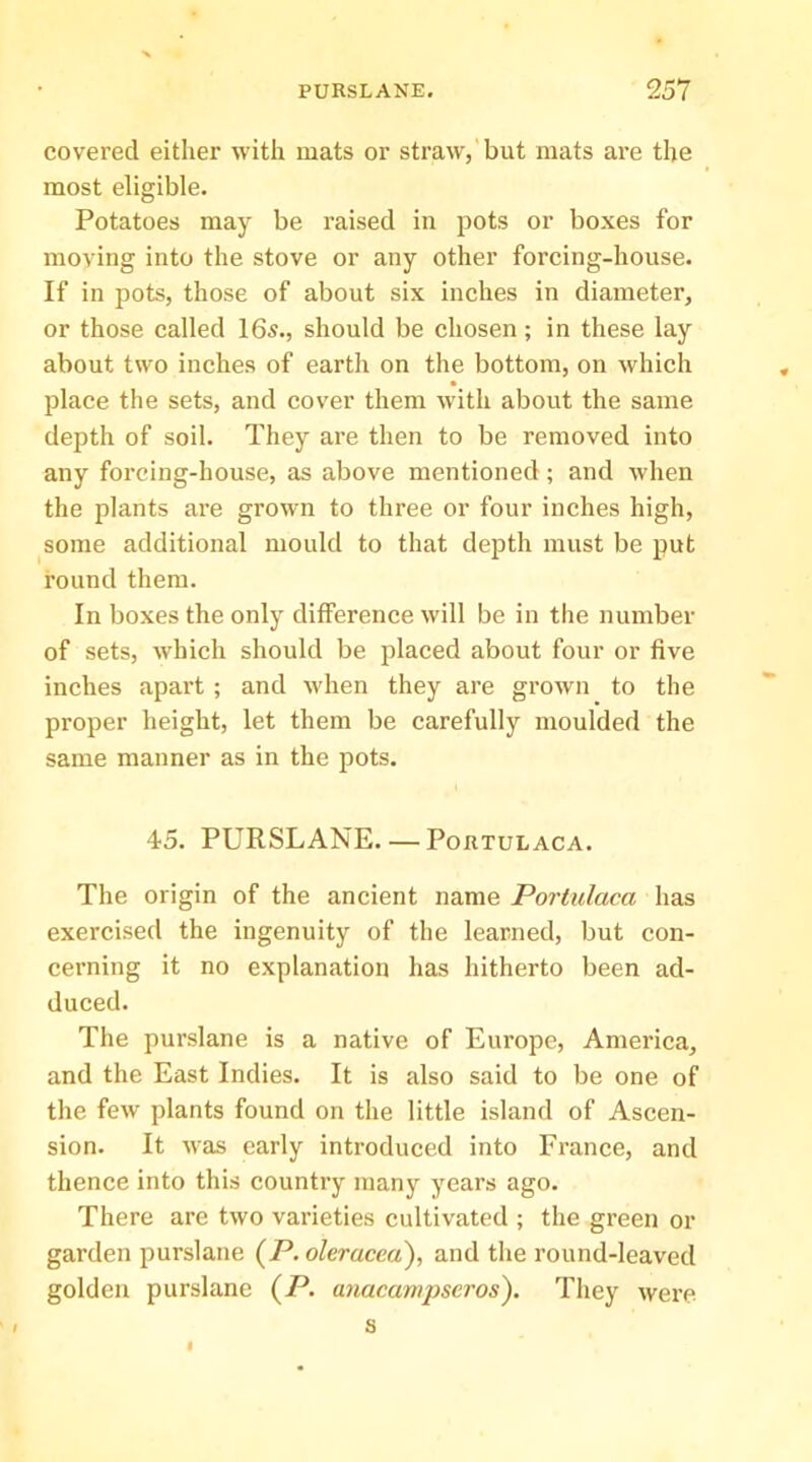 covered either with mats or straw, but mats are the most eligible. Potatoes may be raised in jDOts or boxes for moving into the stove or any other forcing-house. If in pots, those of about six inches in diameter, or those called 165., should be chosen; in these lay about two inches of earth on the bottom, on which place the sets, and cover them ■with about the same depth of soil. They are then to be removed into any forcing-house, as above mentioned; and when the plants are grown to three or four inches high, some additional mould to that dej^th must be put round them. In boxes the only difference will be in the number of sets, which should be placed about four or five inches apart ; and when they are grown to the proper height, let them be carefully moulded the same manner as in the pots. 45. PURSLANE Portulaca. The origin of the ancient name Portulaca has exercised the ingenuity of the learned, but con- cerning it no explanation has hitherto been ad- duced. The purslane is a native of Europe, America, and the East Indies. It is also said to be one of the few plants found on the little island of Ascen- sion. It Avas early introduced into France, and thence into this country many years ago. There are two varieties cultivated ; the green or garden purslane (P. oleracca'), and the round-leaved golden purslane (P. anacavipseros). They s were