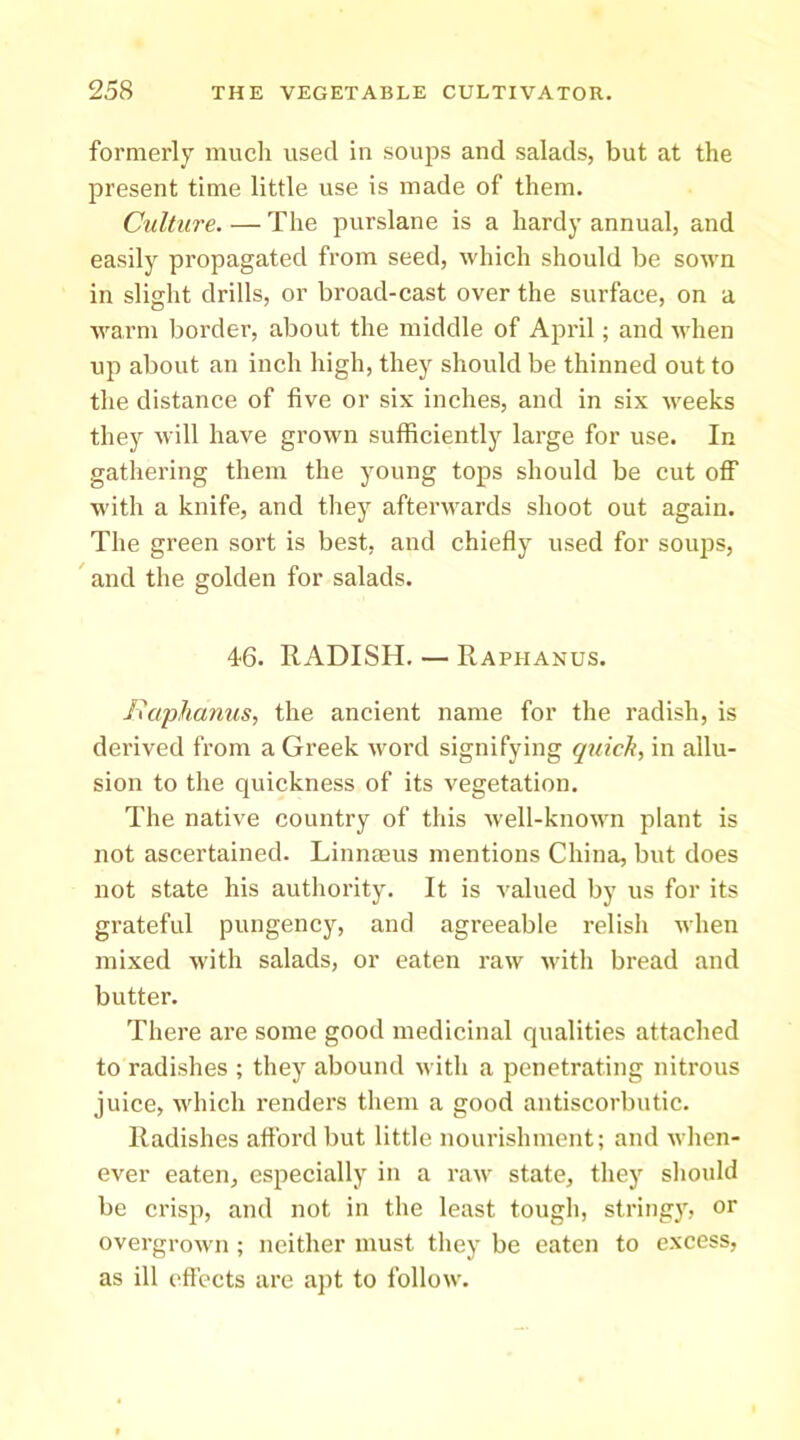 formerly much used in soups and salads, but at the present time little use is made of them. Culture. — The purslane is a hardy annual, and easily propagated from seed, which should be sown in slight drills, or broad-cast over the surface, on a warm border, about the middle of April; and when up about an inch high, they should be thinned out to the distance of five or six inches, and in six weeks they will have grown sufficiently large for use. In gathering them the young tops should be cut ofi” w'ith a knife, and they afterwards shoot out again. The green sort is best, and chiefly used for soups,  and the golden for salads. 46. RADISH. — Raphanus. Ilaphanus, the ancient name for the radish, is derived from a Greek word signifying qriich, in allu- sion to the quickness of its vegetation. The native country of this well-known plant is not ascertained. Linnmus mentions China, but does not state his authority. It is valued by us for its grateful pungency, and agreeable relish when mixed with salads, or eaten raw with bread and butter. There are some good medicinal qualities attached to radishes ; they abound with a penetrating nitrous juice, which I’enders them a good antiscorbutic. Radishes afford but little nourishment; and when- ever eaten, especially in a raw state, they sliould be crisp, and not in the least tough, stringj', or overgrown ; neither must they be eaten to excess, as ill ('fleets are apt to follow.