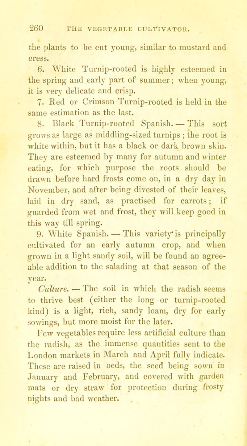 the plants to be cut young, similar to mustard and cress. 6. White Turnip-rooted is highly esteemed in the spring and early part of summer; when young, it is very delicate and crisp. 7. Red or Crimson Turnip-rooted is held in the same estimation as the last. 8. Black Turnip-rooted Spanish. — This sort * grows as large as middling-sized turnips ; the root is white within, but it has a black or dark brown skin. They are esteemed by many for autumn and winter eating, for which purpose the roots should be drawn before hard frosts come on, in a dry day in November, and after being divested of their leaves, laid in dry sand, as practised for carrots; if guarded from wet and frost, they will keep good in this way till spring. 9. White Spanish. — This variety* is principally cultivated for an early autumn crop, and when grown in a light sandy soil, will be found an agree- able addition to the salading at that season of the year. Culture. — The soil in which the radish seems to thrive best (either the long or turnip-rooted kind) is a light, rich, sandy loam, dry for early sowings, but more moist for the later. Few vegetables require less artificial culture than the radish, as the immense quantities sent to the London markets in March and April fully indicate. These are raised in oeds, the seed being sown in January and February, and covered with garden mats or dry straw for protection during frosty nights and bad weather.