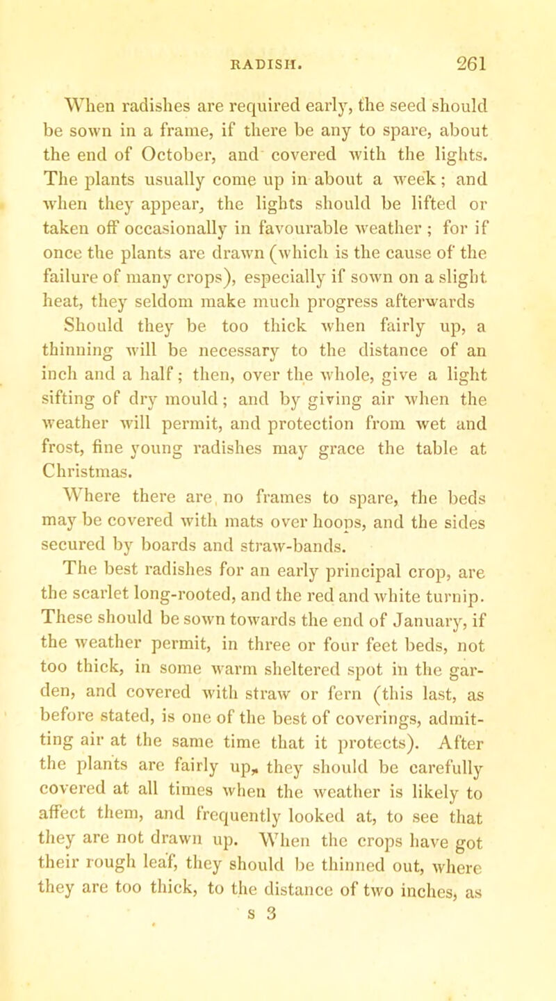 When radishes are required early, the seed should be sown in a frame, if there be any to spare, about the end of October, and covered Avith the lights. The plants usually come up in about a Aveek; and Avhen they appear, the lights should be lifted or taken off occasionally in favourable Aveather ; for if once the plants are draAvn (Avhich is the cause of the failure of many crops), especially if soAvn on a slight heat, they seldom make much progress aftei’A^ards Should they be too thick Avhen fairly up, a thinning Avill be necessary to the distance of an inch and a half; then, over the Avhole, give a light sifting of dry mould; and by giving air Avhen the Aveather Avill permit, and protection from Avet and frost, fine young radishes may grace the table at Christmas. Where there are.no frames to spare, the beds may be covered Avith mats over hoops, and the sides secured by boards and straAV-bands. The best radishes for an early principal crop, are the scarlet long-rooted, and the red and Avhite turnip. These should be soAvn toAvards the end of January, if the Aveather permit, in three or four feet beds, not too thick, in some Avarm sheltered spot in the gar- den, and covered Avith straAV or fern (this last, as before stated, is one of the best of coverings, admit- ting air at the same time that it protects). After the plants arc fairly up,, they should be carefully covered at all times Avhen the Aveather is likely to affect them, and frequently looked at, to see that they are not drawn up. When the crops have got their rough leaf, they should be thinned out, Avhere they are too thick, to the distance of tAvo inches, as