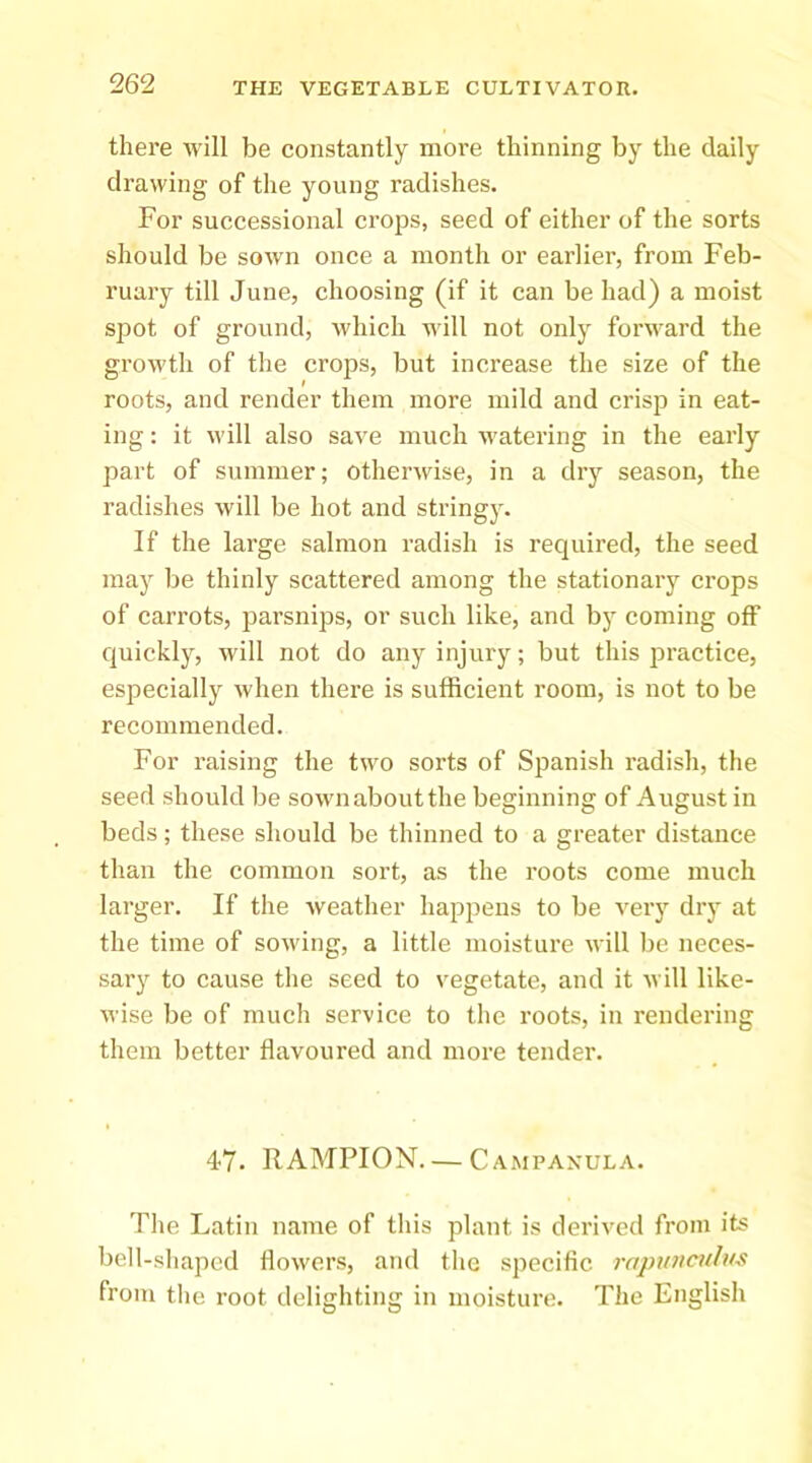 there will be constantly more thinning by the daily drawing of tlie young radishes. For successional crops, seed of either of the sorts should be sown once a month or earlier, from Feb- ruary till June, choosing (if it can be had) a moist spot of ground, which will not only forward the growtli of the crops, but increase the size of the roots, and render them more mild and crisp in eat- ing : it will also save much watering in the early part of summer; otherwise, in a dry season, the radishes will be hot and string}^ If the large salmon radish is required, the seed may be thinly scattered among the stationary crops of carrots, parsnips, or such like, and by coming off quickly, will not do any injury; but this practice, especially when there is sufficient room, is not to be recommended. For raising the two sorts of Spanish radish, the seed should be sown about the beginning of August in beds; these should be thinned to a greater distance than the common sort, as the roots come much larger. If the weather happens to be very dry at the time of sowing, a little moisture will be neces- sary to cause the seed to vegetate, and it will like- wise be of much service to the roots, in rendering them better flavoured and more tender. 47. RAMPION. — Campanula. The Latin name of this plant is derived from its bell-sliapcd flowers, and the specific rapu7tntlus from tlie root delighting in moisture. The English
