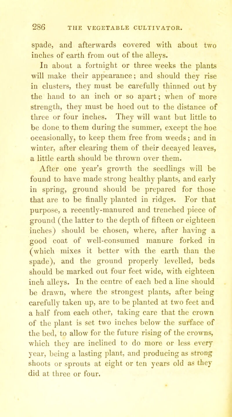 spade, and afterwards covered with about two inches of earth from out of the alleys. In about a fortnight or three weeks the plants will make their appearance; and should they rise in clusters, they must be carefully thinned out by the hand to an inch or so apart; when of more strength, they must be hoed out to the distance of three or four inches. They will want but little to be done to them during the summer, except the hoe occasionally, to keep them free from weeds; and in winter, after clearing them of their decayed leaves, a little earth should be thrown over them. After one year’s growth the seedlings will be found to have made strong healthy plants, and early in spring, ground should be prepared for those that are to be finally planted in ridges. For that purpose, a recently-manured and trenched piece of ground (the latter to the depth of fifteen or eighteen inches) should be chosen, where, after having a good coat of well-consumed manure forked in (which mixes it better with the earth than the spade), and the ground properly levelled, beds should be marked out four feet wide, with eighteen inch alleys. In the centre of each bed a line should be drawn, where the strongest plants, after being carefully taken up, are to be planted at two feet and a half from each other, taking care that the crown of the plant is set two inches below the surface of the lied, to allow for the future rising of the crowns, which they are inclined to do more or less every year, being a lasting plant, and producing as strong shoots or sprouts at eight or ten years old as they did at three or four.