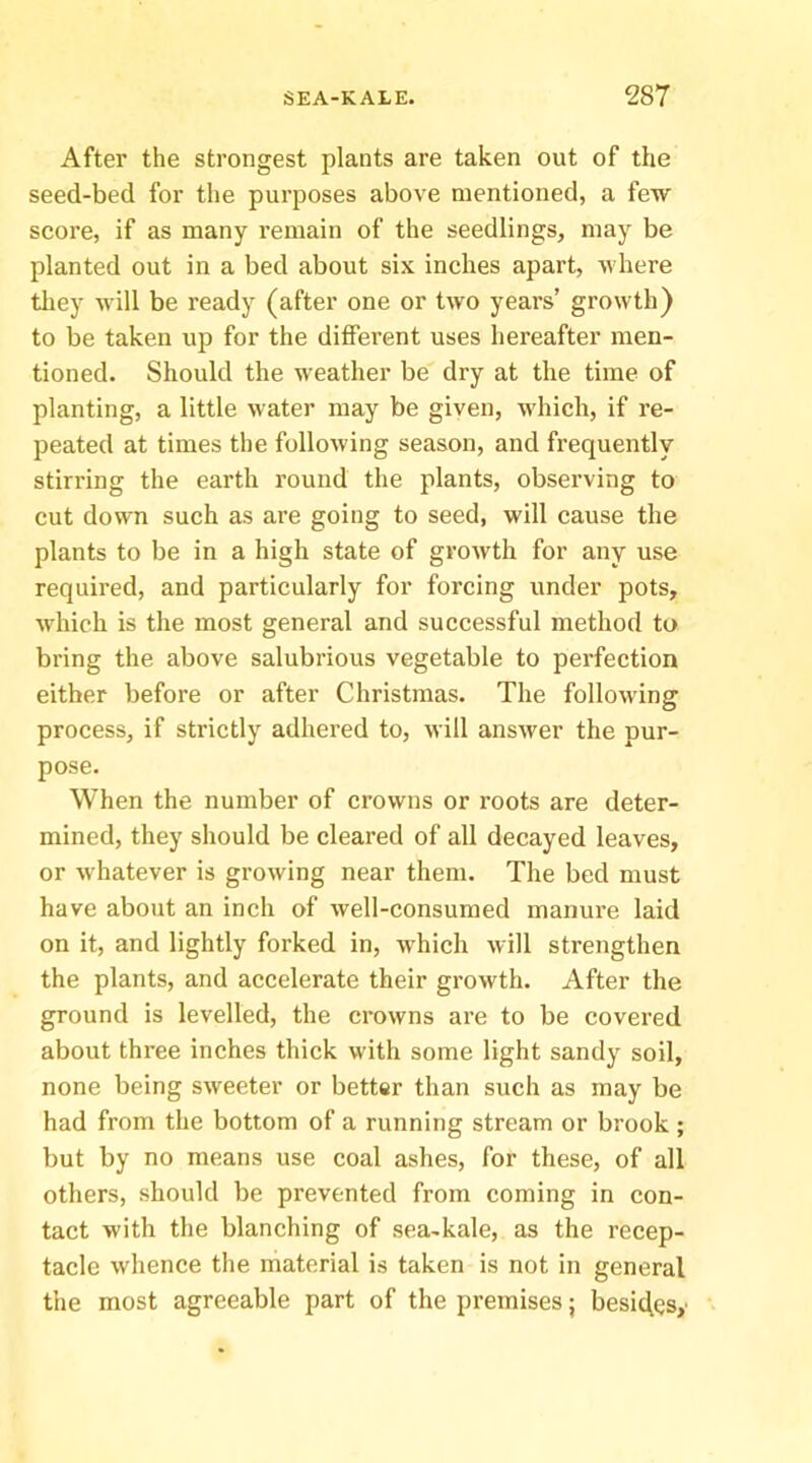 After the strongest plants are taken out of the seed-bed for the purposes above mentioned, a few score, if as many remain of the seedlings, may be planted out in a bed about six inches apart, where they will be ready (after one or two years’ growth) to be taken up for the different uses hereafter men- tioned. Should the weather be dry at the time of planting, a little water may be given, wdiich, if re- peated at times the following season, and frequently stirring the earth round the plants, observing to cut down such as are going to seed, will cause the plants to be in a high state of growth for any use required, and particularly for forcing under pots, which is the most general and successful method to bring the above salubrious vegetable to perfection either before or after Christmas. The following process, if strictly adhered to, will answer the pur- pose. When the number of crowns or roots are deter- mined, they sliould be cleared of all decayed leaves, or whatever is growing near them. The bed must have about an inch of well-consumed manure laid on it, and lightly forked in, w'hich will strengthen the plants, and accelerate their growth. After the ground is levelled, the crowns are to be covered about three inches thick with some light sandy soil, none being sweeter or better than such as may be had from the bottom of a running stream or brook ; but by no means use coal ashes, for these, of all others, should be prevented from coming in con- tact with the blanching of sea-kale, as the recep- tacle whence the material is taken is not in general the most agreeable part of the premises; besides,'