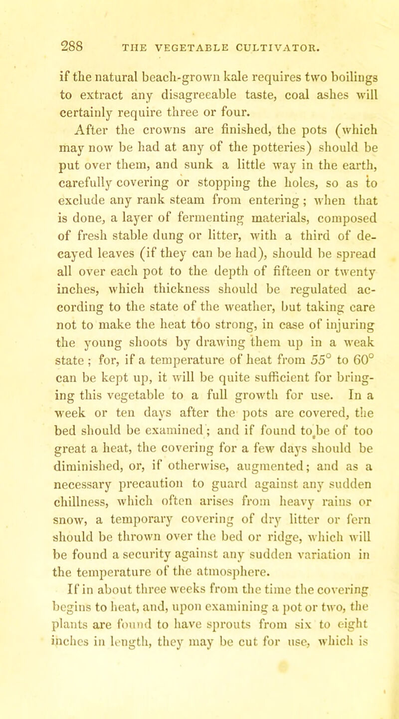 if the natural beach-grown kale requires two boilings to extract any disagreeable taste, coal ashes will certainly require three or four. After the crowns are finished, the pots (which may now be had at any of the potteries) should be put over them, and sunk a little way in the earth, carefully covering or stopping the holes, so as to exclude any rank steam from entering; when that is done, a layer of fermenting materials, composed of fresh stable dung or litter, with a third of de- cayed leaves (if they can be had), should be spread all over each pot to the depth of fifteen or twenty inches, which thickness should be regulated ac- cording to the state of the weather, but taking care not to make the heat too strong, in case of injuring the young shoots by drawing them up in a weak state ; for, if a temperature of heat from 55° to 60° can be kept up, it will be quite sufficient for bring- ing this vegetable to a full growth for use. In a week or ten days after the pots are covered, the bed should be examined; and if found to,be of too great a heat, the covering for a few days should be diminished, or, if otherwise, augmented; and as a necessary precaution to guard against any sudden chillness, which often arises from heavy rains or snow, a temporary covering of dry litter or fern should be thrown over the bed or ridge, which will be found a security against any sudden variation in the temperature of the atmosphere. If in about three weeks from the time the covering begins to heat, and, upon examining a pot or two, the plants are found to have sprouts from six to eight inches in length, they may be cut for use, which is