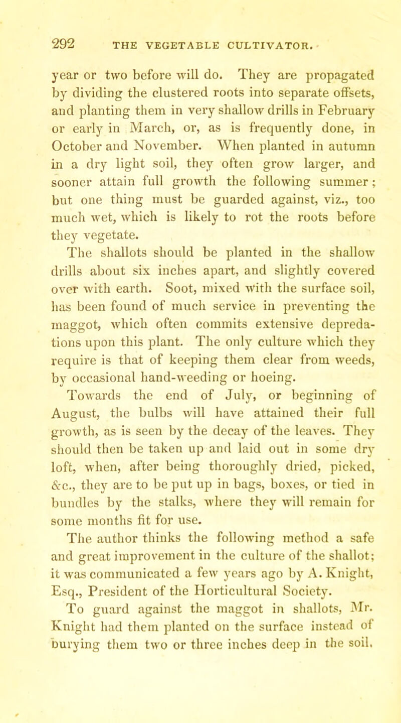 year or two before will do. They are propagated by dividing the clustered roots into separate offsets, and planting them in very shallow drills in February or early in March, or, as is frequently done, in October and November. When planted in autumn in a dry light soil, they often grow larger, and sooner attain full growth the following summer ; but one thing must be guarded against, viz., too much wet, which is likely to rot the roots before they vegetate. The shallots should be planted in the shallow drills about six inches apart, and slightly covered over with earth. Soot, mixed with the surface soil, has been found of much service in preventing the maggot, which often commits extensive depreda- tions upon this plant. The only culture which they require is that of keeping them clear from weeds, by occasional hand-weeding or hoeing. Towards the end of July, or beginning of August, the bulbs will have attained their full growth, as is seen by the decay of the leaves. They should then be taken up and laid out in some dry loft, when, after being thoroughly dried, picked, &c., they are to be put up in bags, boxes, or tied in bundles by the stalks, where they will remain for some months fit for use. The author thinks the following method a safe and great improvement in the culture of the shallot; it was communicated a few years ago by A. Knight, Esq., President of the Horticultural Society. To guard against the maggot in shallots, 3Ir. Kniglit had them planted on the surface instead of burying tliem two or three inches deep in the soil.