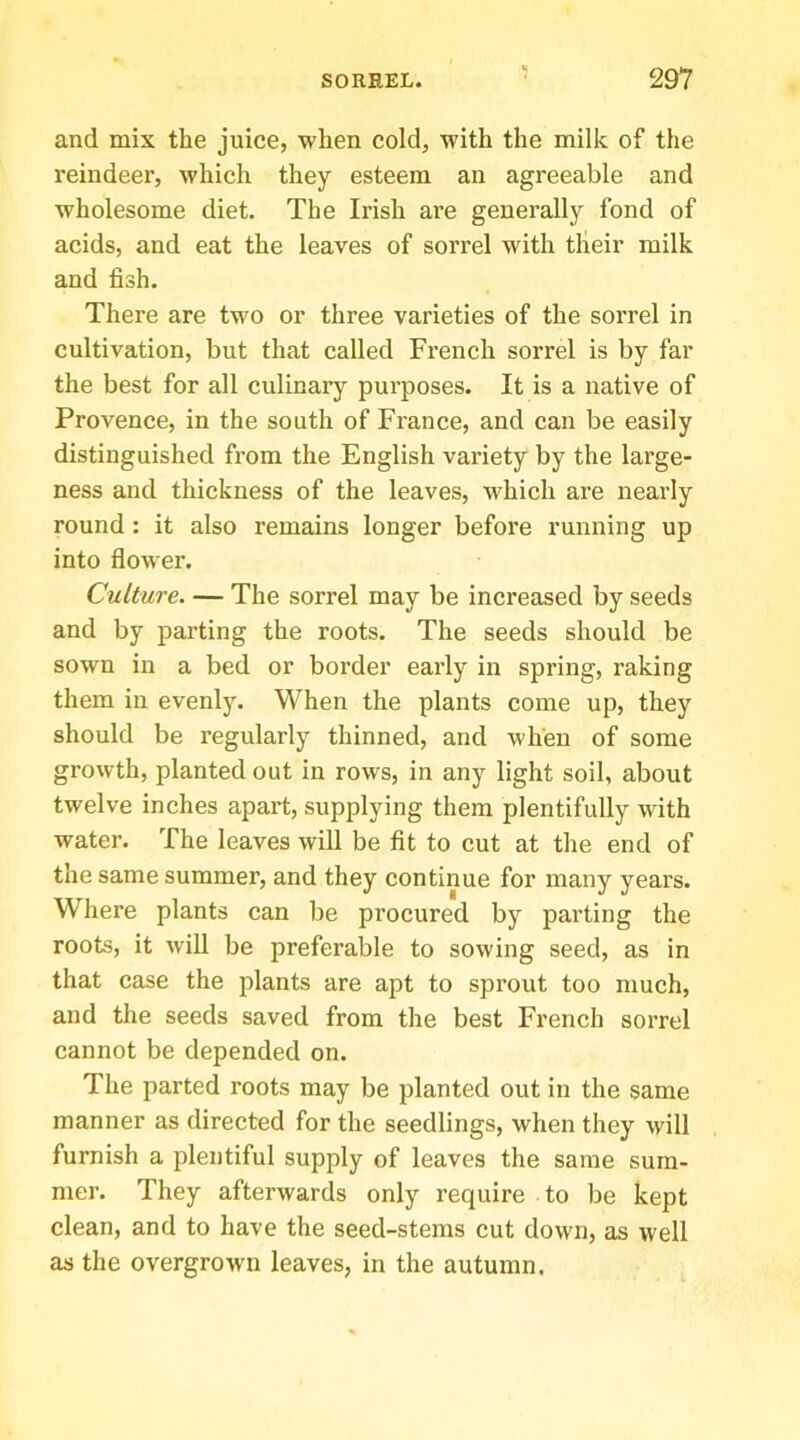 and mix the juice, when cold, with the milk of the reindeer, which they esteem an agreeable and wholesome diet. The Irish are generally fond of acids, and eat the leaves of sorrel with tlieir milk and fish. There are two or three varieties of the sorrel in cultivation, but that called French sorrel is by far the best for all culinary purposes. It is a native of Provence, in the south of France, and can be easily distinguished from the English variety by the large- ness and thickness of the leaves, which are nearly round: it also remains longer before running up into flower. Culture. — The sorrel may be increased by seeds and by parting the roots. The seeds should be sown in a bed or border early in spring, raking them in evenly. When the plants come up, they should be regularly thinned, and when of some growth, planted out in rows, in any light soil, about twelve inches apart, supplying them plentifully with water. The leaves will be fit to cut at the end of the same summer, and they continue for many years. Where plants can be procured by parting the roots, it will be preferable to sowing seed, as in that case the plants are apt to sprout too much, and the seeds saved from the best French sorrel cannot be depended on. The parted roots may be planted out in the same manner as directed for the seedlings, when they will furnish a plentiful supply of leaves the same sum- mer. They afterwards only require to be kept clean, and to have the seed-stems cut down, as well as the overgrown leaves, in the autumn.