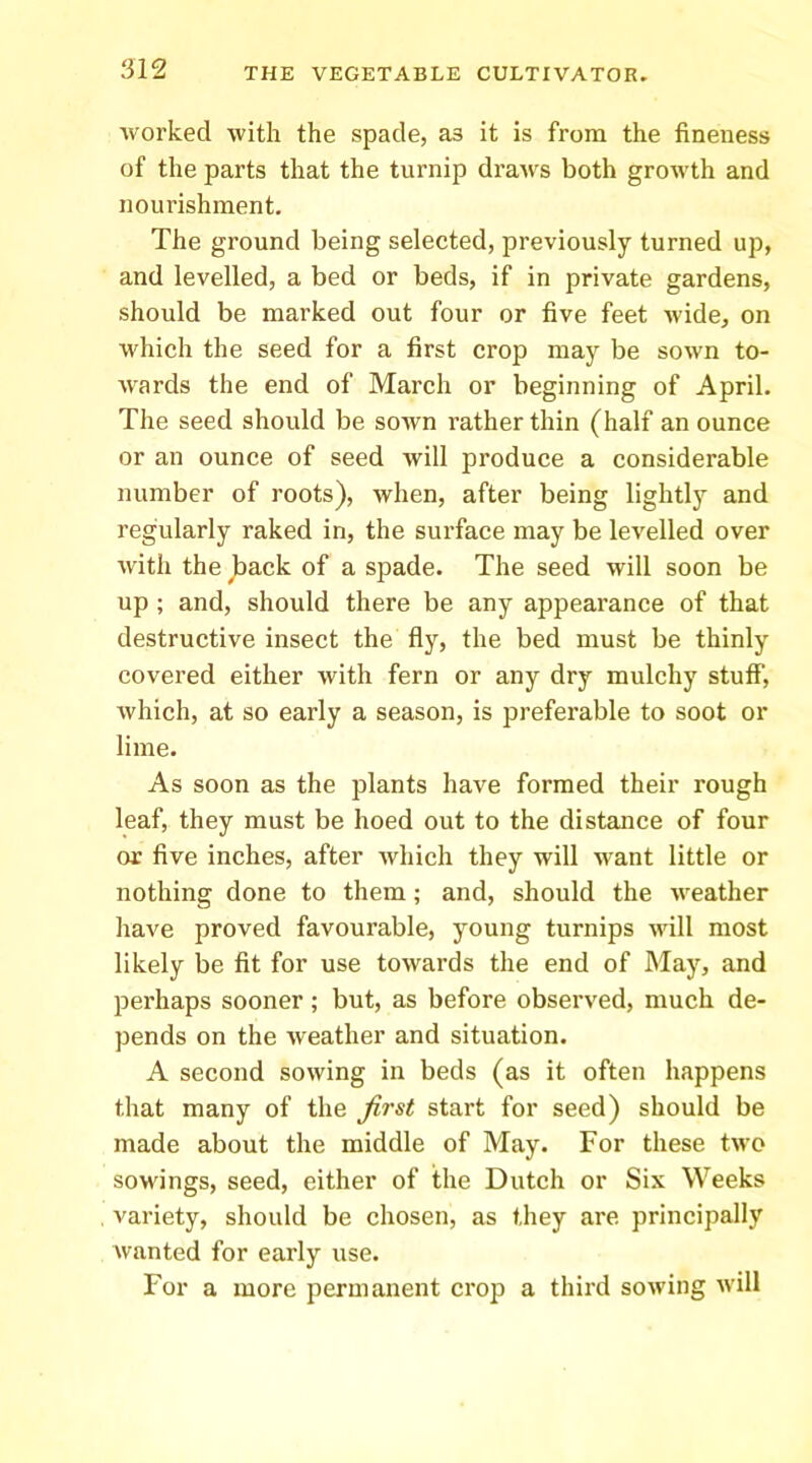 worked with the spade, as it is from the fineness of the parts that the turnip draws both growth and nourishment. The ground being selected, previously turned up, and levelled, a bed or beds, if in private gardens, should be marked out four or five feet wide, on which the seed for a first crop may be sown to- wards the end of March or beginning of April. The seed should be sown rather thin (half an ounce or an ounce of seed will produce a considerable number of roots), when, after being lightly and regularly raked in, the surface may be levelled over Avith the jaack of a spade. The seed will soon be up; and, should there be any appearance of that destructive insect the fly, the bed must be thinly covered either with fern or any dry mulchy stuff, which, at so early a season, is preferable to soot or lime. As soon as the plants have formed their rough leaf, they must be hoed out to the distance of four or five inches, after Avhich they will want little or nothing done to them; and, should the weather liave proved favourable, young turnips will most likely be fit for use towards the end of May, and perhaps sooner; but, as before obsei’ved, much de- pends on the weather and situation. A second sowing in beds (as it often happens that many of the first start for seed) should be made about the middle of May. For these two sowings, seed, either of the Dutch or Six Weeks variety, should be chosen, as they are principally Avanted for early use. For a more permanent crop a third soAving Avill