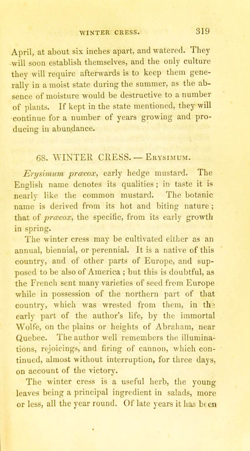 April, at about six inches apart, and watered. They w'ill soon establish themselves, and the only culture they will require afterwards is to keep them gene- rally in a moist state during the summer, as the ab- sence of moisture would be destructive to a number of plants. If kept in the state mentioned, they will continue for a number of years growing and pro- ducing in abundance. 68. WINTER CRESS. —Erysimum. Erysimum prcecox, early hedge mustard. The English name denotes its qualities; in taste it is nearly like the common mustard. The botanic name is derived from its hot and biting nature ; that of prcecox, the specific, from its early growth in spring. The winter cress may be cultivated either as an annual, biennial, or perennial. It is a native of this country, and of other parts of Europe, and sup- posed to be also of America ; but this is doubtful, as the French sent many varieties of seed from Europe while in possession of the northern part of that countr)', which was wrested from them, in the early part of the author’s life, by the immortal Wolfe, on the plains or heights of Abraham, near Quebec. The author well remembers the illumina- tions, rejoicings, and firing of cannon, which con- tinued, almost without interruption, for three days, on account of the victory. The winter cress is a useful herb, the young leaves being a principal ingredient in salads, more or less, all the year round. Of late years it has been