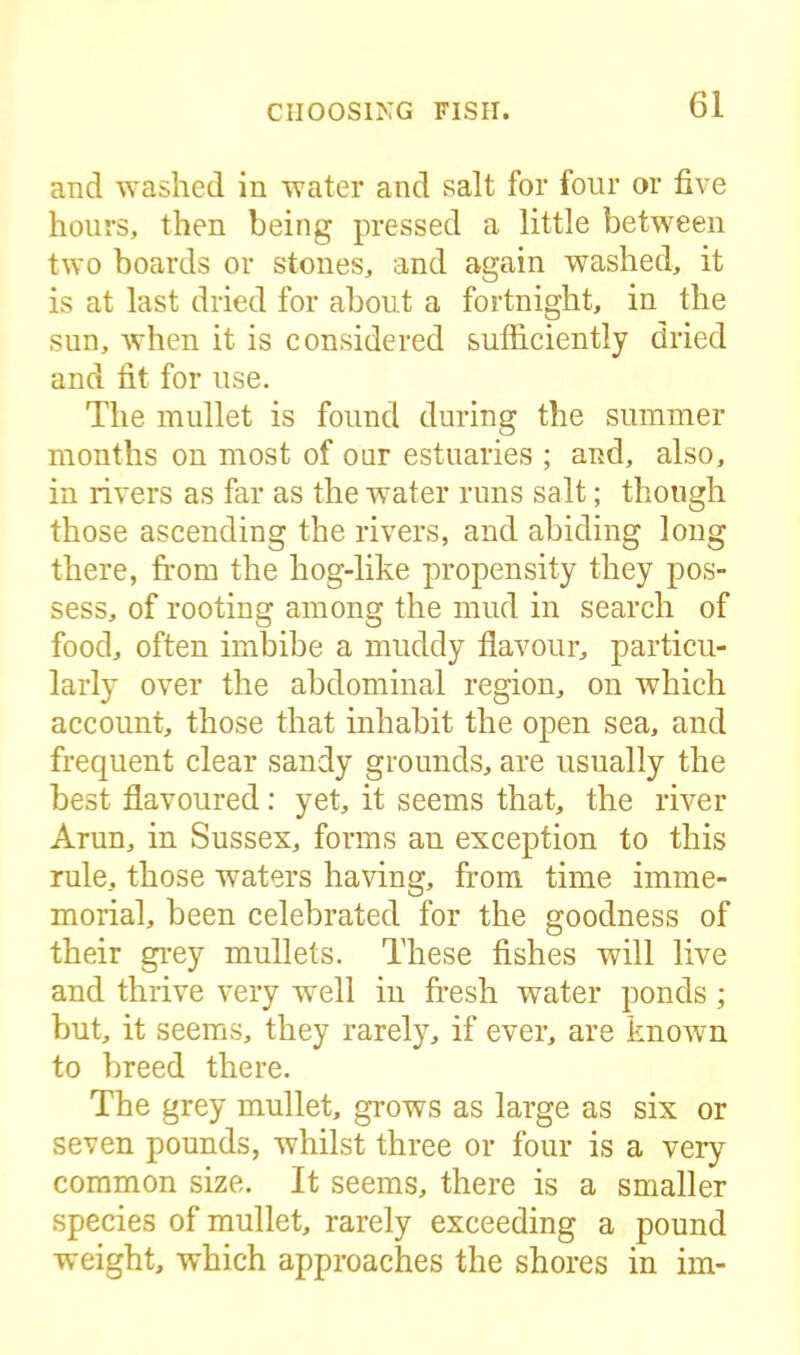 and washed in water and salt for four or five hours, then being pressed a little between two boards or stones, and again washed, it is at last dried for about a fortnight, in the sun, when it is considered sufficiently dried and fit for use. The mullet is found during the summer months on most of our estuaries ; and, also, in rivers as far as the water runs salt; though those ascending the rivers, and abiding long there, from the hog-like propensity they pos- sess, of rooting among the mud in search of food, often imbibe a muddy flavour, particu- larly over the abdominal region, on which account, those that inhabit the open sea, and frequent clear sandy grounds, are usually the best flavoured: yet, it seems that, the river Arun, in Sussex, forms an exception to this rule, those waters having, from time imme- morial, been celebrated for the goodness of their grey mullets. These fishes will live and thrive very well in fresh water ponds; but, it seems, they rarely, if ever, are known to breed there. The grey mullet, grows as large as six or seven pounds, whilst three or four is a very common size. It seems, there is a smaller species of mullet, rarely exceeding a pound weight, which approaches the shores in im-