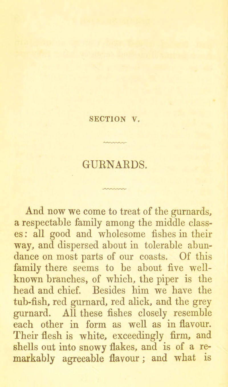 GURNARDS. And now we come to treat of the gurnards, a respectable family among the middle class- es : all good and wholesome fishes in their way, and dispersed about in tolerable abun- dance on most parts of our coasts. Of this family there seems to be about five well- known branches, of which, the piper is the head and chief. Besides him we have the tub-fish, red gurnard, red alick, and the grey gurnard. All these fishes closely resemble each other in form as well as in flavour. Their flesh is white, exceedingly firm, and shells out into snowy flakes, and is of a re- markably agreeable flavour; and what is