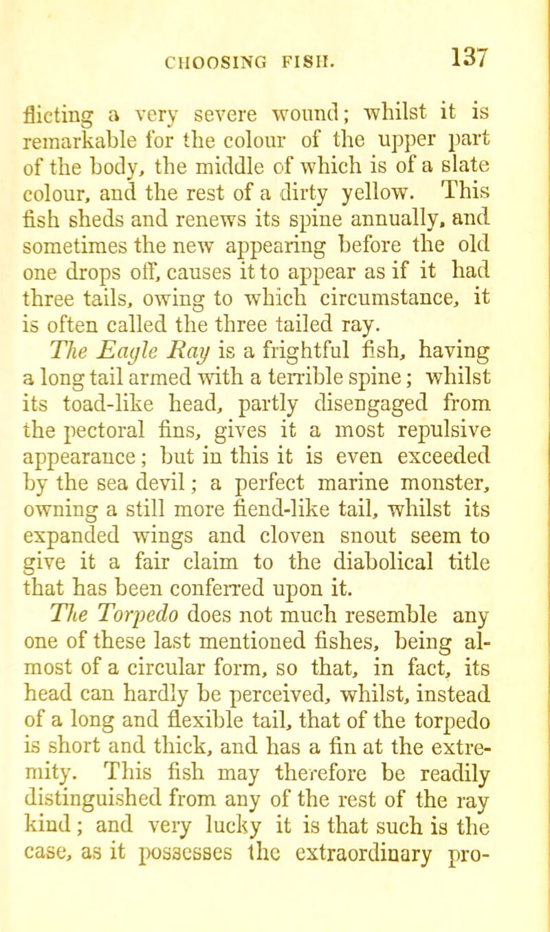 Aiding a very severe wound; whilst it is remarkable for the colour of the upper part of the body, the middle of which is of a slate colour, and the rest of a dirty yellow. This fish sheds and renews its spine annually, and sometimes the new appearing before the old one drops off, causes it to appear as if it had three tails, owing to which circumstance, it is often called the three tailed ray. The Eagle Ray is a frightful fish, having a long tail armed with a terrible spine; whilst its toad-like head, partly disengaged from the pectoral fins, gives it a most repulsive appearance; but in this it is even exceeded by the sea devil; a perfect marine monster, owning a still more fiend-like tail, whilst its expanded wings and cloven snout seem to give it a fair claim to the diabolical title that has been conferred upon it. The Torpedo does not much resemble any one of these last mentioned fishes, being al- most of a circular form, so that, in fact, its head can hardly be perceived, whilst, instead of a long and flexible tail, that of the torpedo is short and thick, and has a fin at the extre- mity. This fish may therefore be readily distinguished from any of the rest of the ray kind; and very lucky it is that such is the case, as it possesses the extraordinary pro-