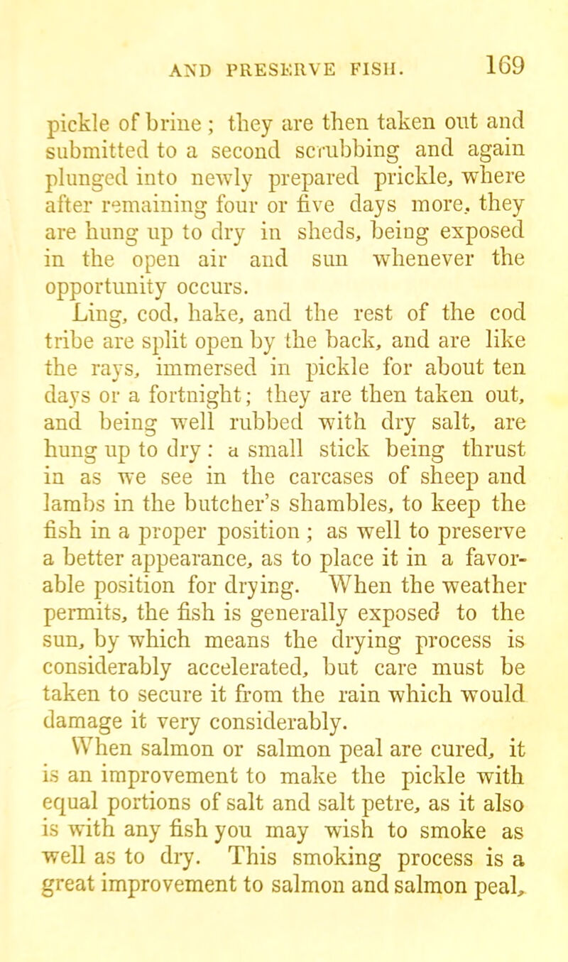 pickle of brine ; they are then taken out and submitted to a second scrubbing and again plunged into newly prepared prickle, where after remaining four or five days more, they are hung up to dry in sheds, being exposed in the open air and sun whenever the opportunity occurs. Ling, cod, hake, and the rest of the cod tribe are split open by the back, and are like the rays, immersed in pickle for about ten days or a fortnight; they are then taken out, and being well rubbed with dry salt, are hung up to dry : a small stick being thrust in as we see in the carcases of sheep and lambs in the butcher’s shambles, to keep the fish in a proper position; as well to preserve a better appearance, as to place it in a favor- able position for drying. When the weather permits, the fish is generally exposed to the sun, by which means the drying process is considerably accelerated, but care must be taken to secure it from the rain which would damage it very considerably. When salmon or salmon peal are cured, it is an improvement to make the pickle with equal portions of salt and salt petre, as it also is with any fish you may wish to smoke as well as to dry. This smoking process is a great improvement to salmon and salmon peal.