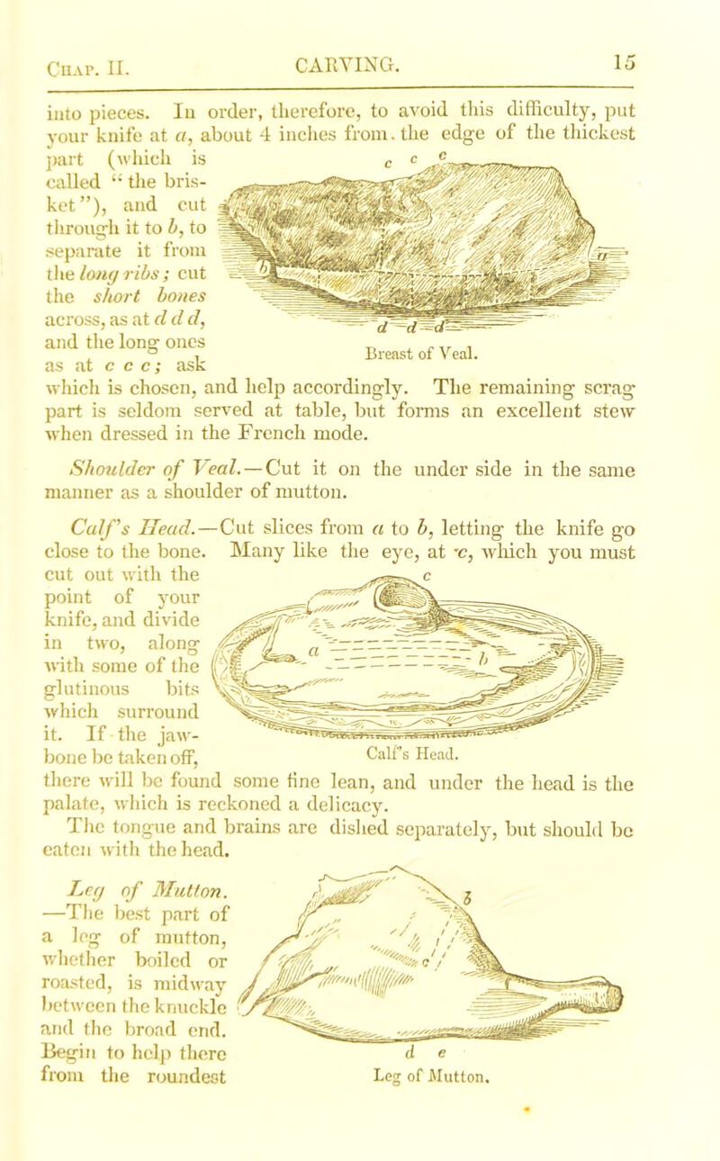 into pieces. In order, therefore, to avoid this difficulty, put your knife at a, about 4 inches from, the edge of the thickest part (which is called the bris- ket ”), and cut through it to b, to separate it from the long ribs; cut the short bones across, as at cl cl cl, and the long ones Breast of Veal. as at c c c; ask which is chosen, and help accordingly. The remaining scrag part is seldom served at table, but forms an excellent stew when dressed in the French mode. Shoulder of Veal. — Cut it on the under side in the same manner as a shoulder of mutton. Calf's Head.—Cut slices from a to b, letting the knife go close to the bone. Many like the eye, at -c, which you must cut out with the point of your knife, and divide in two, along with some of the glutinous bits which surround it. If the jaw- bone be taken off, Calf’s Head, there will be found some tine lean, and under the head is the palate, which is reckoned a delicacy. The tongue and brains are dished separately, but should be eaten with the head. Leg of Mutton. —The best part of a leg of mutton, whether boiled or roasted, is midway between the knuckle and the broad end. Begin to help there from the roundest Leg of Mutton.