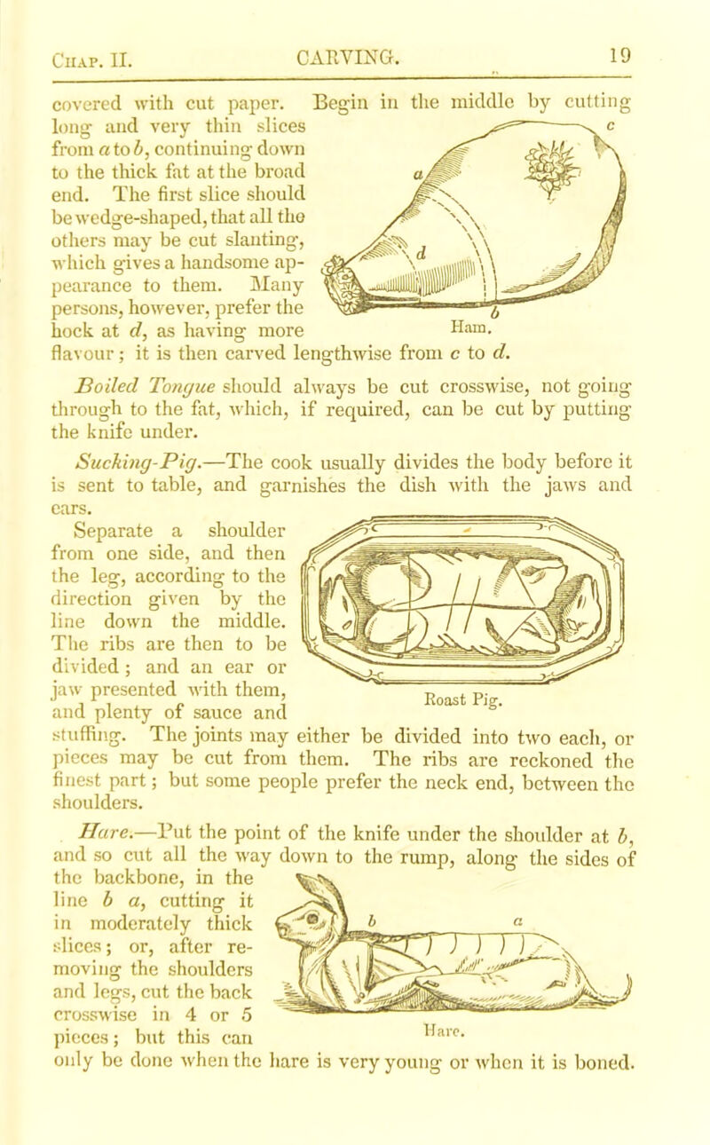 covered with cut paper. Begin in the middle by cutting long and very thin slices from a to b, continuing down to the thick fat at the broad end. The first slice should be wedge-shaped, that all the others may be cut slanting, which gives a handsome ap- pearance to them. Many persons, however, prefer the hock at d, as having more flavour; it is then carved lengthwise from c to d. Boiled Tongue should always be cut crosswise, not going through to the fat, which, if required, can be cut by putting the knife under. Sucking-Pig.—The cook usually divides the body before it is sent to table, and garnishes the dish with the jaws and ears. Separate a shoulder from one side, and then the leg, according to the direction given by the line down the middle. The ribs are then to be divided; and an ear or jaw presented with them, and plenty of sauce and stuffing. The joints may either be divided into two each, or pieces may be cut from them. The ribs are reckoned the finest part; but some people prefer the neck end, between the shoulders. Hare.—Put the point of the knife under the shoulder at b, and so cut all the way down to the rump, along the sides of the backbone, in the line b a, cutting it in moderately thick slices; or, after re- moving the shoulders and legs, cut the back crosswise in 4 or 5 pieces; but this can only be done when the hare is very young or when it is boned.