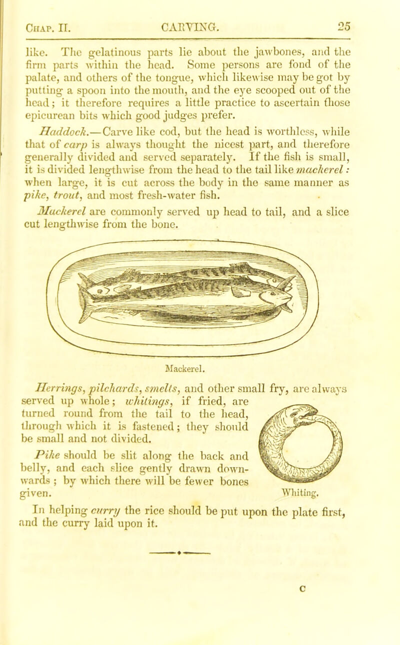 like. The gelatinous parts lie about the jawbones, and the firm parts within the head. Some persons are fond of the palate, and others of the tongue, which likewise may be got by putting a spoon into the mouth, and the eye scooped out of the head; it therefore requires a little practice to ascertain those epicurean bits which good judges prefer. Haddock.—Carve like cod, but the head is worthless, while that of carp is always thought the nicest part, and therefore generally divided and served separately. If the fish is small, it is divided lengthwise from the head to the tail like mackerel: when large, it is cut across the body in the same manner as pike, trout, and most fresh-water fish. Mackerel are commonly served up head to tail, and a slice cut lengthwise from the bone. Herrings, pilchards, smelts, and other small fry, are always served up whole; whitings, if fried, are turned round from the tail to the head, through which it is fastened; they should be small and not divided. Pike should be slit along the back and belly, and each slice gently drawn down- wards ; by which there will be fewer bones given. Whiting. In helping curry the rice should be put upon the plate first, and the curry laid upon it. c