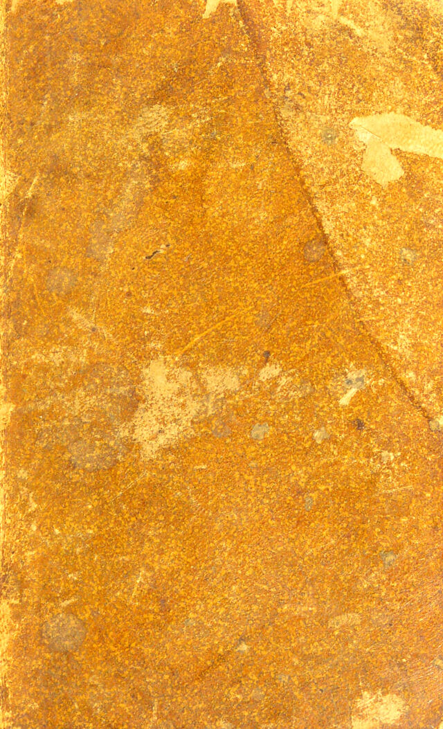 digitised image 1