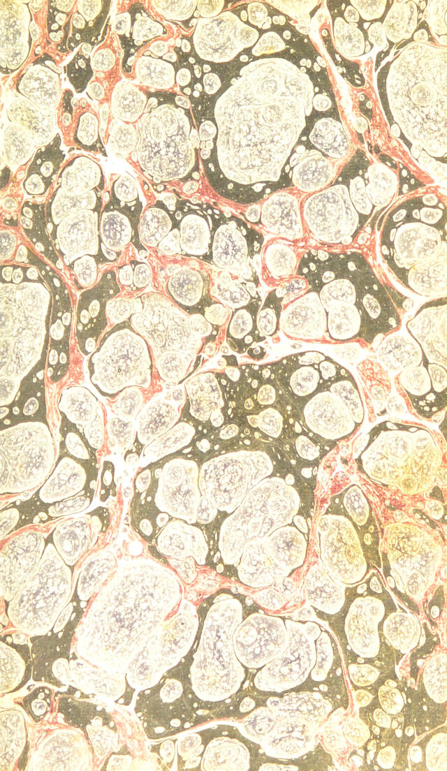digitised image 3