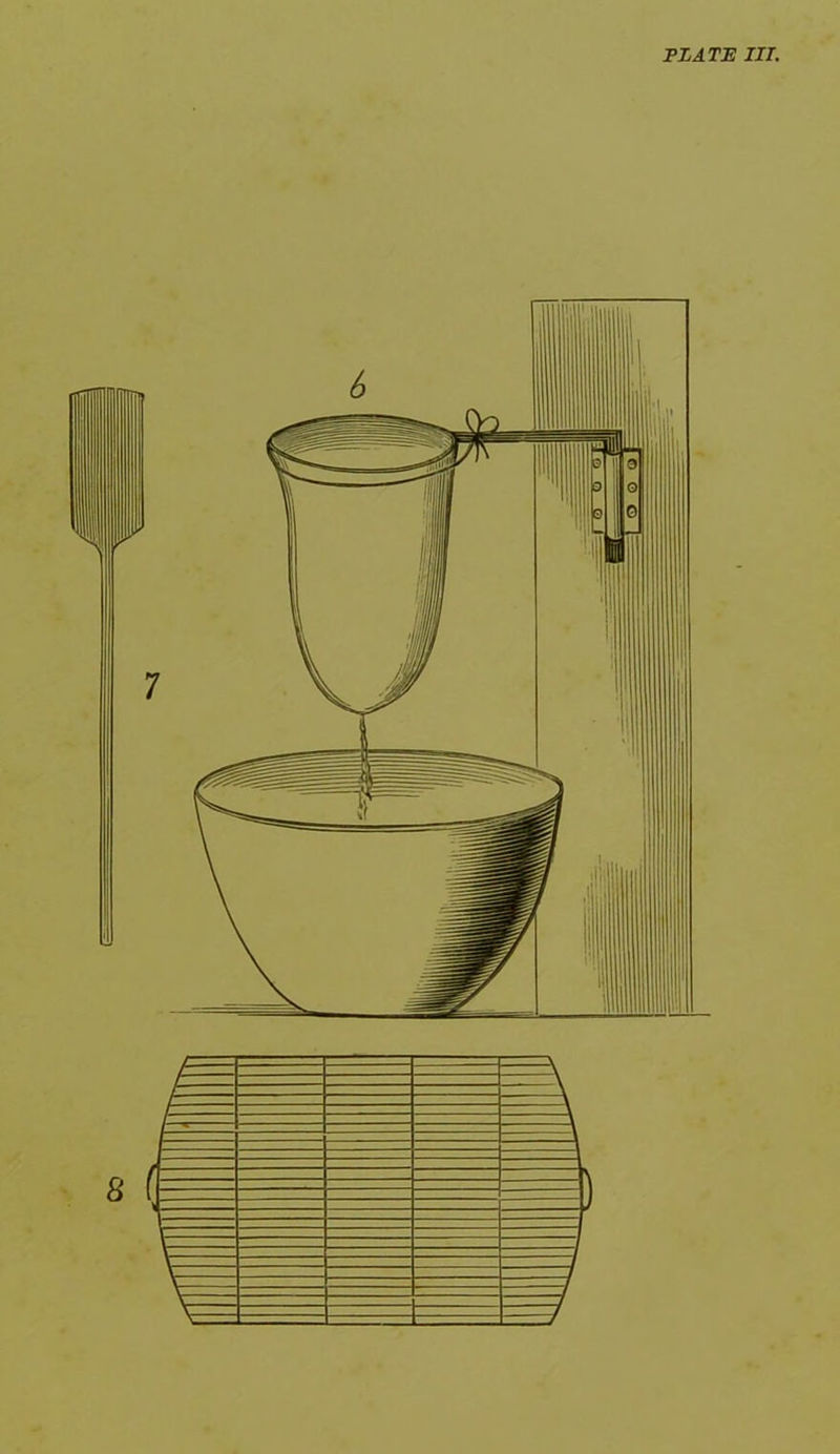 PLATE III.