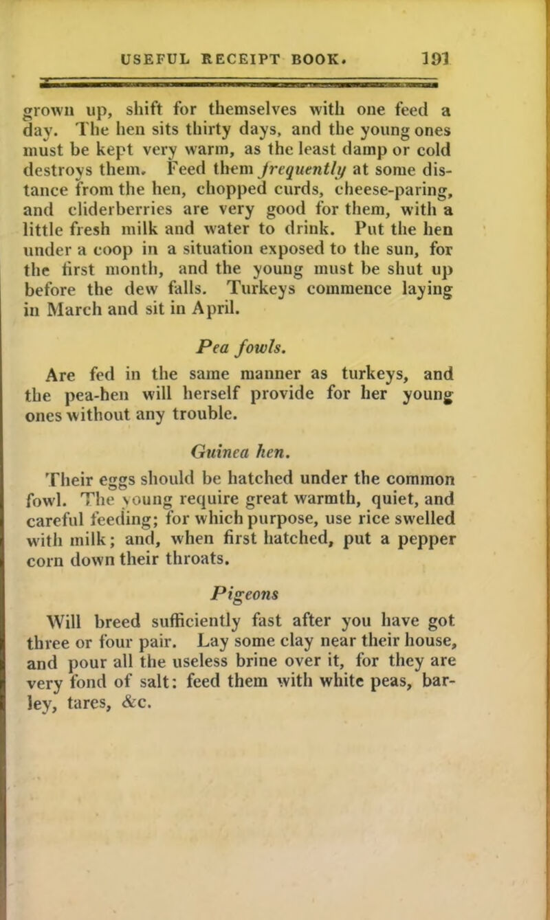 grown up, shift for themselves with one feed a day. The hen sits thirty days, and the young ones must be kept very warm, as the least damp or cold destroys them. Feed them frequentlyy at some dis- tance from the hen, chopped curds, cheese-paring, and cliderberries are very good for them, with a little fresh milk and water to drink. Put the hen under a coop in a situation exposed to the sun, for the first month, and the young must be shut up before the dew falls. Turkeys commence laying in March and sit in April. Pea fowls. Are fed in the same manner as turkeys, and the pea-hen will herself provide for her young ones without any trouble. Guinea hen. Their esgs should be hatched under the common fowl. The young require great warmth, quiet, and careful feeding; for which purpose, use rice swelled w ith milk; and, when first hatched, put a pepper corn down their throats. Pigeons Will breed sufficiently fast after you have got three or four pair. Lay some clay near their house, and pour all the useless brine over it, for they are very fond of salt: feed them with white peas, bar- ley, tares, &c.