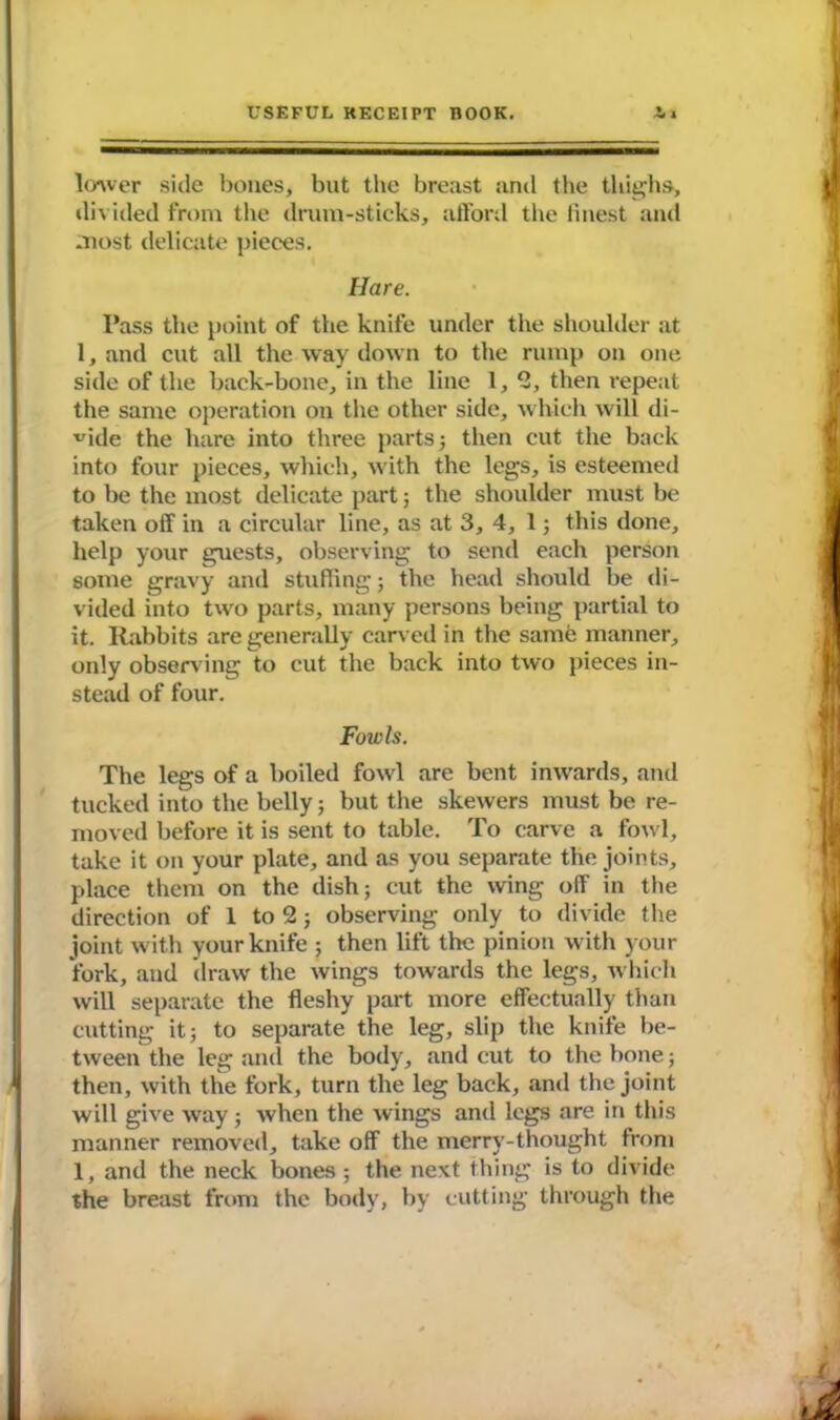 lower side bones, but the breast and the thighs, divided from the drum-sticks, afford the iinest and most delicate pieces. Hare. Pass the point of the knife under the shoulder at 1, and cut all the way down to the rump on one side of the back-bone, in the line 1, 2, then repeat the same operation on the other side, which will di- vide the hare into three partsj then cut the back into four pieces, which, with the legs, is esteemed to be the most delicate part; the shoulder must be taken off in a circular line, as at 3, 4, 1; this done, help your guests, observing to send each person some gravy and stuffing; the head should be di- vided into two parts, many persons being partial to it. Rabbits are generally carved in the same manner, only observing to cut the back into two pieces in- stead of four. Fowls. The legs of a boiled fowl are bent inwards, and tucked into the belly; but the skewers must be re- moved before it is sent to table. To carve a fowl, take it on your plate, and as you separate the joints, place them on the dish; cut the wing off in the direction of 1 to 2; observing only to divide the joint with your knife ; then lift the pinion with your fork, and draw the wings towards the legs, which will separate the fleshy part more effectually than cutting it; to separate the leg, slip the knife be- tween the leg and the body, and cut to the bone; then, with the fork, turn the leg back, and the joint will give way; when the wings and legs are in this manner removed, take off the merry-thought from 1, and the neck bones ; the next thing is to divide the breast from the body, by cutting through the