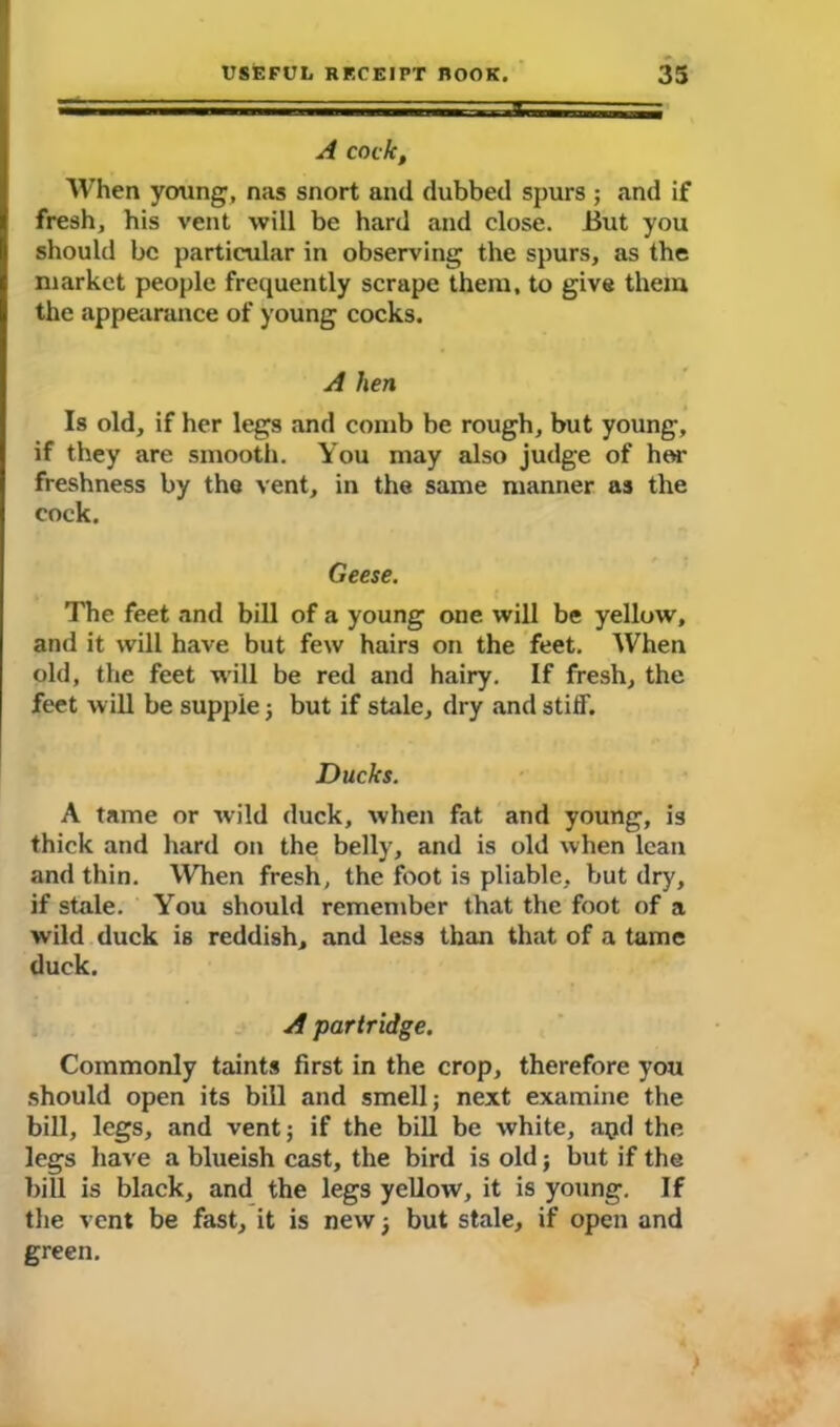 A cock, When young, nas snort and dubbed spurs; and if fresh, his vent will be hard and close. But you should be particular in observing the spurs, as the market people frequently scrape them, to give them the appearance of young cocks. A hen Is old, if her legs and comb be rough, but young, if they are smooth. You may also judge of her freshness by the vent, in the same manner as the cock. Geese. The feet and bill of a young one will be yellow, and it will have but few hairs on the feet. When old, the feet will be red and hairy. If fresh, the feet will be supple; but if stale, dry and stiff. Ducks. A tame or wild duck, when fat and young, is thick and hard on the belly, and is old when lean and thin. When fresh, the foot is pliable, but dry, if stale. You should remember that the foot of a wild duck is reddish, and less than that of a tame duck. A partridge. Commonly taints first in the crop, therefore you should open its bill and smell; next examine the bill, legs, and vent; if the bill be white, apd the legs have a blueish cast, the bird is old j but if the bill is black, and the legs yellow, it is young. If the vent be fast, it is new; but stale, if open and green.