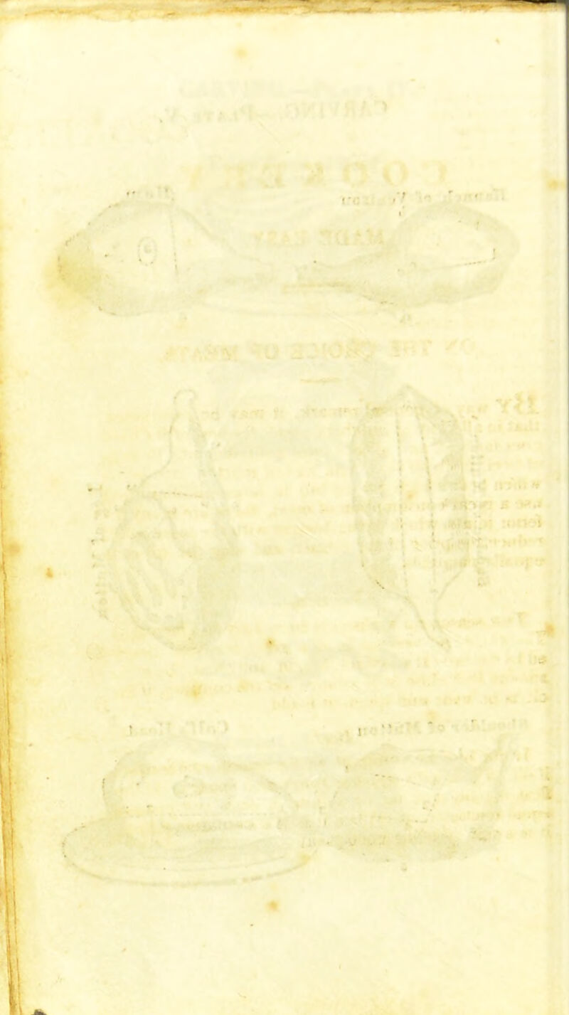 . • > >' i ..i ^ 1,'! ,-o; ' pr ;.l ( fi^- 4 ■ ■ f yH a '■,,^7 -H’ •artT' ^ £0. '■ 9 I-...:? *'.) p . .ir ' ?*► .'IJtsy t . J . .- • i J fi .'rr'.i. » .1 v; ' j** .'‘, S ^.» ^ * t ^ -■■ -fv /I , A , ' • U-^ ' ^ ^ 4 '\ -• » < ’** t. •• ■ *^- WY '• .,>-1 ■ ■•■ r\« ! -o-= :!'■• A \i rS*  ■ % ^ f* ^' i 6 ^ *< • * * ' ii'. » , V ‘y^ ■C: