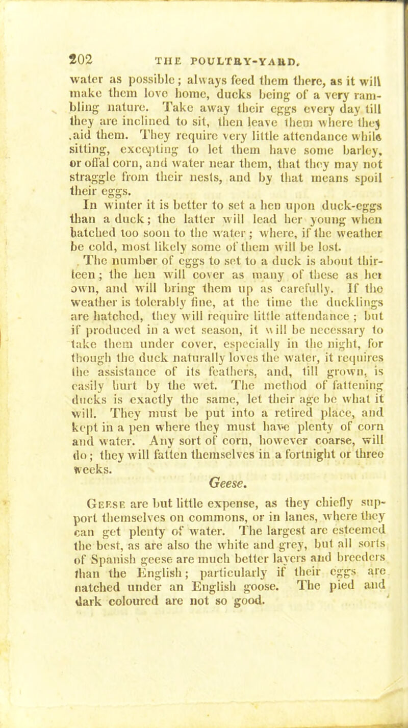 water as possible; always feed them there, as it will make them love home, ducks being of a very ram- bling nature. Take away their eggs every day till they are inclined to sit, then leave them where they .aid them. They require very little attendance whilft sitting, excq)ting to let them have some barley, or oH'al corn, and water near them, that they may not straggle from their nests, and by that means spoil their eggs. In winter it is better to set a hen upon duck-eggs than a duck; the latter will lead her young wlicn batched loo soon to tlie water; where, if the weather be cold, most likely some of them will be lost. , The number of eggs to set to a duck is about thir- teen ; the hen will cover as many of these as hci own, and will bring them up as carefully. If the weather is tolerably fine, at the time the ducklings are hatched, they will require little attendance ; but if produced in a wet season, it will be necessary to take them under cover, especially in the night, for though the duck naturally loves the water, it retjuires the assistance of its feathers, and, till grown, is easily hurt by the wet. The method of fattening ducks is exactly the same, let their age be what it will. They must be put into a retired place, and kept in a pen wheie they must have plenty of corn and water. Any sort of corn, however coarse, will do; they will fatten themselves in a fortnight or three weeks. Geese. Gef.se are but little expense, as they chiefly sup- port themselves on commons, or in lanes, where they can get plenty of water. The largest arc esteemed the best, as are also the white and grey, but all soils of Spanish geese are much better layers and breeders than the English; particularly if their eggs are Hatched under an English goose. The pied and dark coloured are not so good. *