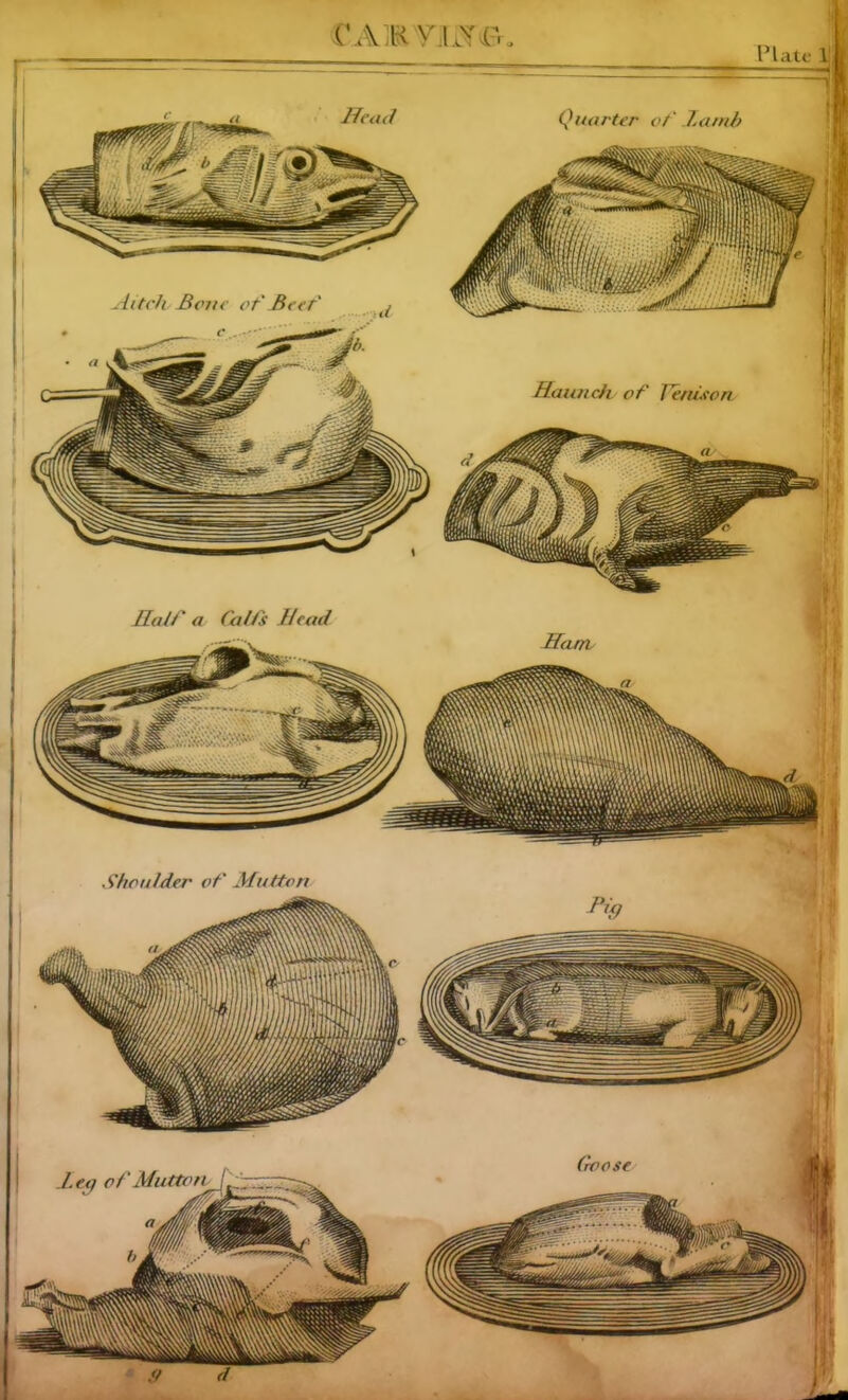 Plate 1. Harter ot' Lamb Head Half a Calfs Head Ham Lea of Mutton Haunch of Venison, Goose