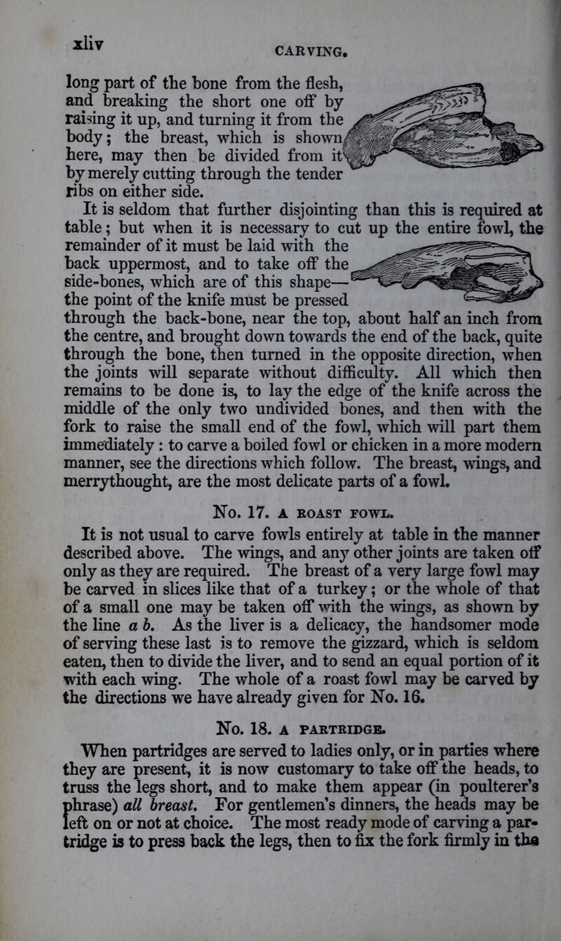 CARVING, long part of the bone from the flesh, and breaking the short one off by raising it up, and turning it from the body; the breast, which is shown/ here, may then be divided from its by merely cutting through the tender ribs on either side. It is seldom that further disjointing than this is required at table; but when it is necessary to cut up the entire fowl, the remainder of it must be laid with the back uppermost, and to take off the side-bones, which are of this shape—1 the point of the knife must be pressed through the back-bone, near the top, about half an inch from the centre, and brought down towards the end of the back, quite through the bone, then turned in the opposite direction, when the joints will separate without difficulty. All which then remains to be done is, to lay the edge of the knife across the middle of the only two undivided bones, and then with the fork to raise the small end of the fowl, which will part them immediately : to carve a boiled fowl or chicken in a more modern manner, see the directions which follow. The breast, wings, and merrythought, are the most delicate parts of a fowl. No. 17. A ROAST FOWL. It is not usual to carve fowls entirely at table in the manner described above. The wings, and any other joints are taken off only as they are required. The breast of a very large fowl may be carved in slices like that of a turkey; or the whole of that of a small one may be taken off with the wings, as shown by the line a b. As the liver is a delicacy, the handsomer mode of serving these last is to remove the gizzard, which is seldom eaten, then to divide the liver, and to send an equal portion of it with each wing. The whole of a roast fowl may be carved by the directions we have already given for No. 16. No. 18. A PARTRIDGE. When partridges are served to ladies only, or in parties where they are present, it is now customary to take off the heads, to truss the legs short, and to make them appear (in poulterer’s phrase) all breast. For gentlemen’s dinners, the heads may be left on or not at choice. The most ready mode of carving a par- tridge is to press back the legs, then to fix the fork firmly in tha