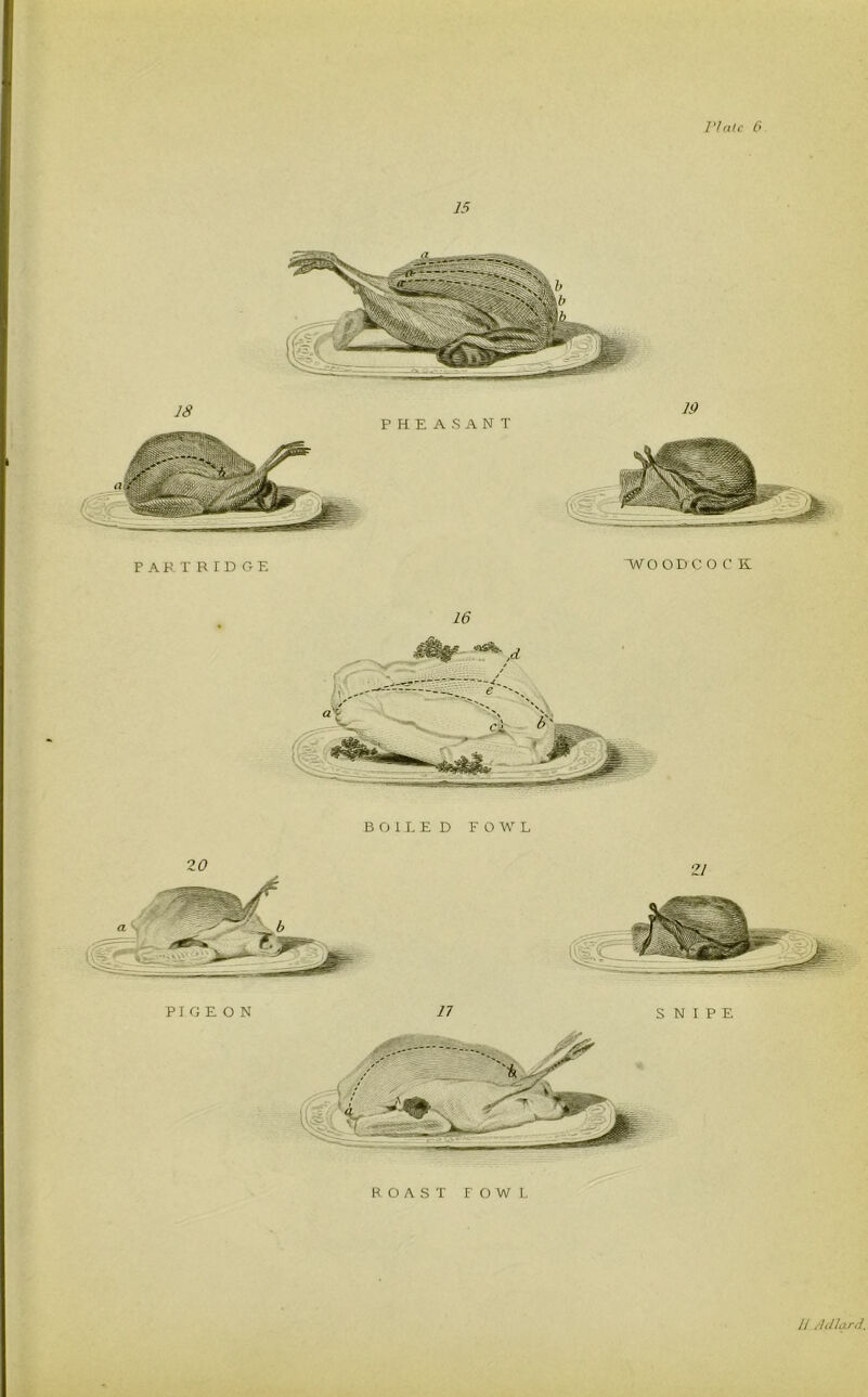 I1/ate 6 15 BOILED FOWL PIGEON ROAST FOWL