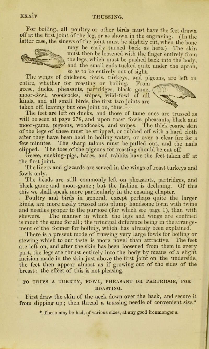 For boiling, all poultry or other birds must have the feet drawn oft at the first joint of the leg, or as shown in the engraving. (In the latter case, the sinews of the joint must be slightly cut, when the bone may be easily turned back as here.) The skin must then be loosened with the finger entirely from the legs, which must be pushed back into the body, and the small ends tucked quite under the apron, so as to be entirely out of sight. The wings of chickens, fowls, turkeys, and pigeons, are left on entire, whether for roasting or boiling. From geese, ducks, pheasants, partridges, black game, moor-fowl, woodcocks, snipes, wild-fowl of all kinds, and all small birds, the first two joints are taken off, leaving but one joint on, thus:-- The feet are left on ducks, and those of tame ones are trussed as will be seen at page 278, and upon roast fowls, pheasants, black and moor-game, pigeons, woodcocks, and snipes. The thick coarse skin of the legs of these must be stripped, or rubbed off with a hard cloth after they have been held in boiling water, or over a clear fire for a few minutes. The sharp talons must be pulled out, and the nails clipped. The toes of the pigeons for roasting should be cut off. Geese, sucking-pigs, hares, and rabbits have the feet taken off at the first joint. The livers and gizzards are served in the wings of roast turkeys and fowls only. The heads are still commonly left on pheasants, partridges, and black game and moor-game ; but the fashion is declining. Of this this we shall speak more particularly in the ensuing chapter. Poultry and birds in general, except perhaps quite the larger kinds, are more easily trussed into plump handsome form with twine and needles proper to the purpose (for which see page 1), than with skewers. The manner in which the legs and wings are confined is much the same for all; the principal difference being in the arrange- ment of the former for boiling, wtiich has already been explained. There is a present mode of trussing very large fowls for boiling or stewing which to our taste is more novel than attractive. The feet are left on, and after the skin has been loosened from them in every part, the legs are thrust entirely into the body by means of a slight incision made in the skin just above the first joint on the underside, the feet then appear almost as if growing out of the sides of the breast: the effect of this is not pleasing. TO TRUSS A TURKEY, FOWL, PHEASANT OR PARTRIDGE, FOR ROASTING. First draw the skin of the neck down over the back, and secure it from slipping up; then thread a trussing needle of convenient size,* * These may be had, of various sizes, at any good ironmongers.