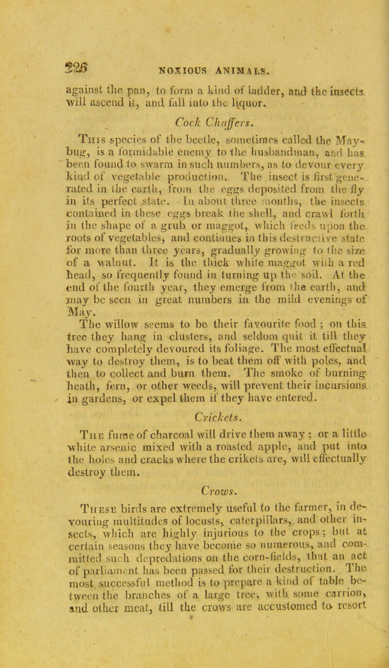 §25 against the pan, to form a kind of ladder, and the insects will ascend if, and fall into the liquor. Cock Chaffers. This species of the beetle, sometimes called the May- bug, is a formidable enemy to the husbandman, and has been found to swarm in such numbers, as to devour every kind of vegetable production. The insect is first gene- rated in the earth, from the eggs deposited from the fly in its perfect .state. • In about three months, the insects contained in these eggs break the shell, and crawl forth in the shape of a grub or maggot, which feeds upon the roots of vegetables, and continues in this destructive state for more than three years, gradually growing to the size of a walnut. It is the thick white maggot with a red head, so frequently found in turning up the sod. At the end of the fourth year, they emerge from 'he earth, and may be seen in great numbers in the mild evenings of May. The willow seems to be their favourite food ; on this tree they hang in clusters, and seldom quit it till they have completely devoured its foliage. The most efFectua! way to destroy them, is to beat them oft' with poles, and then to collect and burn them. The smoke of burning heath, fern, or other weeds, will prevent their incursions in gardens, or expel them if they have entered. Crickets. Tiie fume of charcoal will drive them away ; or a little white arsenic mixed with a roasted apple, and put into the holes and cracks where the crikets are, will effectually destroy them. Crows. These birds are extremely useful to the farmer, in de- vouring multitudes of locusts, caterpillars,, and other in- sects, which are highly injurious to the crops; but at certain seasons they have become so numerous, aud com-, mitted such depredations on the corn-fields, that an act of parliament has been passed for their destruction. The most successful method is to prepare a kind ot table be- tween the branches of a large tree, with some carrion, and other meat, till the crows arc accustomed to resort