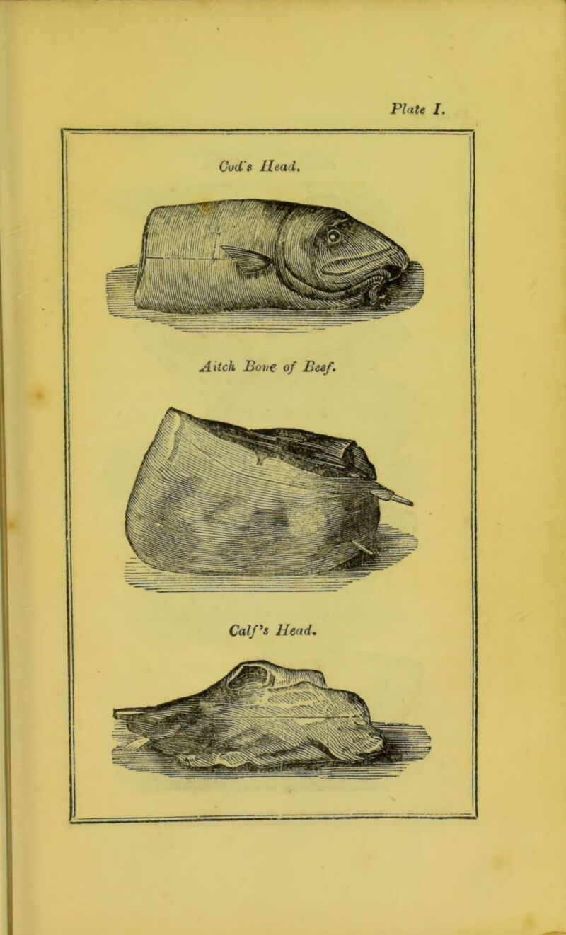 Calf's Head. Cud's Head. A itch Bone of Beef.