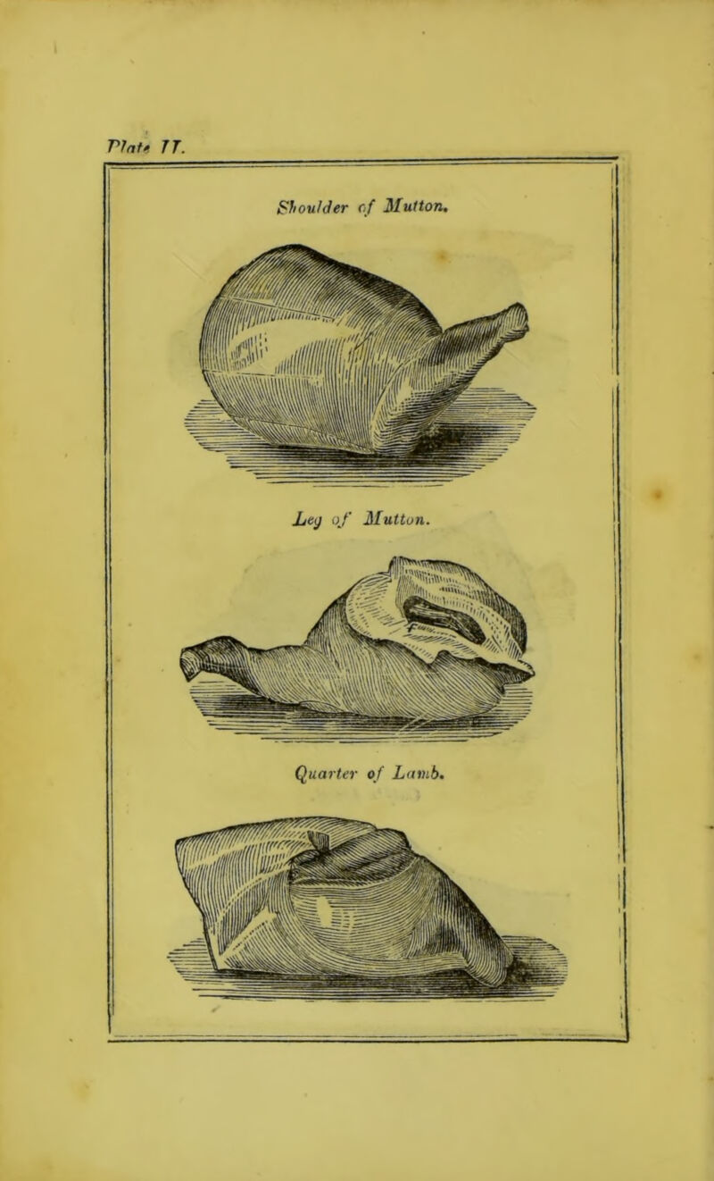 Plate IT. Shoulder of Mutton. Leg of Mutton. Quarter of Lamb. \