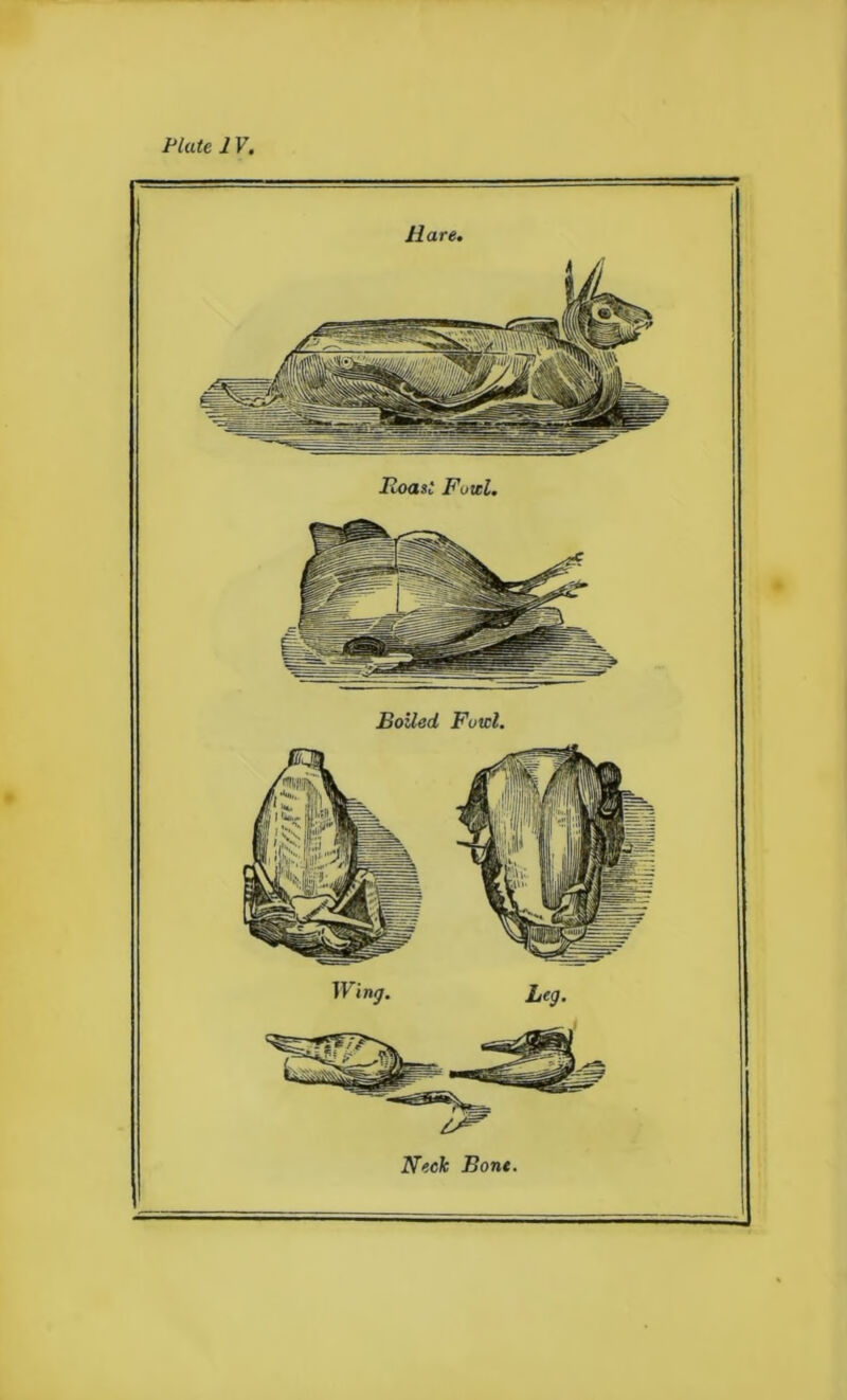 Hare. Neck Bone.