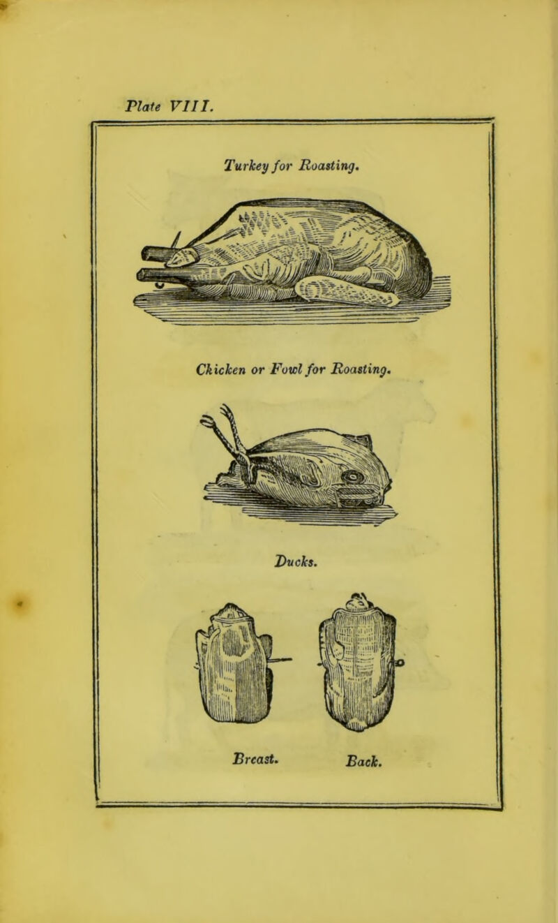 Chicken or Fowl for Roasting. Turkey for Roasting. Rucks. Breast. Back.