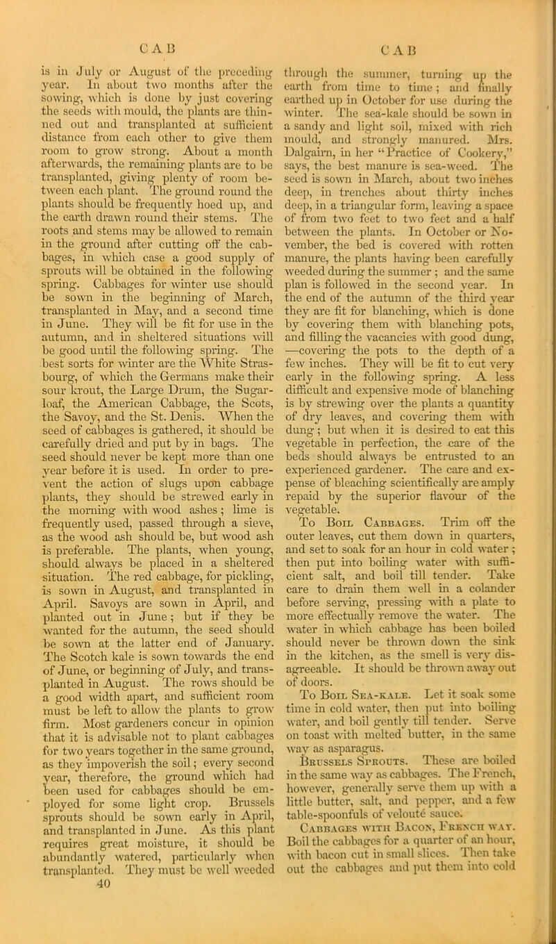 is ill J Illy or August oi‘ tlio precoJiiig year. In about two months alter the sowing, ^^•hich is done hy just covering the seeds with mould, the plants are thin- ned out and trimsplanted at sufficient distance from each other to give them room to grow strong. About a month afterwai'ds, the remaining plants are to he transplanted, giving plenty of room be- tween each plant. The ground round the plimts should be frequently hoed up, and the eai'th drawn round their stems. The roots and stems may be allowed to remain in the ground after cutting off the cab- bages, in which case a good supply of sprouts will be obtained in the following spring. Cabbages for winter use should be sown in the beginning of March, ti'ansplanted in May, and a second time in June. They will be fit for use in the autumn, and in sheltered situations w'ill be good until the following spring. The best sorts for winter are the White Stras- bourg, of which the Germans make thefr sour krout, the Large Drum, the Sugar- loaf, the American Cabbage, the Scots, the Savoy, and the St. Denis. AVhen the seed of cabbages is gathered, it should be carefully dried and put by in bags. The seed should never be kept more than one year before it is used. In order to pre- vent the action of slugs upon cabbage plants, they should be sti’ewed early in the morning with wood ashes; lime is frequently used, passed tln-ough a sieve, as the wood ash should be, but wood ash is preferable. The plants, when young, should always be placed in a sheltered situation. The red cabbage, for pickling, is sown in August, and transplanted in April. Savoys are sown in April, and planted out in June; but if they be wanted for the autumn, the seed should be so^vn at the latter end of January. The Scotch kale is sown towards the end of June, or beginning of July, and trans- planted in August. The rows should be a good width apart, and sufficient room must be left to allow the plants to grow firm. Most gardeners concur in opinion that it is advisable not to plant cabbages for two years together in the same ground, as they impoverish the soil; everjr second year, therefore, the ground which had been used for cabbages should be em- ployed for some light crop. Brussels sprouts should be sown early in April, and transplanted in June. As this plant requires great moisture, it should be abundantly watered, particularly when transplanted. Tliey must be well weeded 40 through the summer, turning up the earth from time to time; and finally earthed u]> in October for use during the winter. The sea-kale should be sown in a sandy and light soil, mixed with rich mould, and strongly manured. Mrs. Dalgairn, in her “Bractice of Cookery,” says, the best manure is sea-weed. The seed is sown in March, about two inches deep, in trenches about thirty inches dee]), in a triangular form, leaving a space of from two feet to two feet and a half between the plants. In October or No- vember, the bed is covered udth rotten manm'e, the plants liaving been carefully weeded during the summer ; and the same plan is followed in the second year. In the end of the autumn of the tliird vear they arc fit for blanching, which is Sone by covering them vith blanching pots, and filling the vacancies with good dung, —covering the pots to the depth of a few inches. They will be fit to cut very early in the follo\ving spring. A less difficult and expensive mode of blanching is by strewing over the plants a quantity of dry leaves, and covering them ulth dung ; but when it is desired to eat this vegetable in perfection, the care of the beds should always be entrusted to an experienced gardener. The care and ex- pense of bleaching scientifically are amply repaid by the superior flavour of the vegetable. To Boil Cabbages. Trim off the outer leaves, cut them down in quarters, and set to soak for an hour in cold water ; then put into boiling water with suffi- cient salt, and boil till tender. Take care to drain them well in a colander before serving, pressing with a plate to more effectually remove the water. The water in which cabbage has been boiled should never be thro\s'n down the sink in the kitchen, as the smell is very dis- agreeable. It should be thrown away out of doors. To Bon. Sea-kale. Let it soak some time in cold water, then put into boiling water, and boil gently til! tender. Serve on toast with melted butter, in the same way as asparagus. Brussels Sprouts. These are boiled in the same way as cablxiges. The French, however, generally senc them up with a little butter, salt, and pepper, and a few table-spoonfuls of vcloute sauce. Cabbages with Bacon, French wav. Boil the cabbages for a quarter of an hour, with bacon cut in small slices. Then take out the cabbages and put them into coM