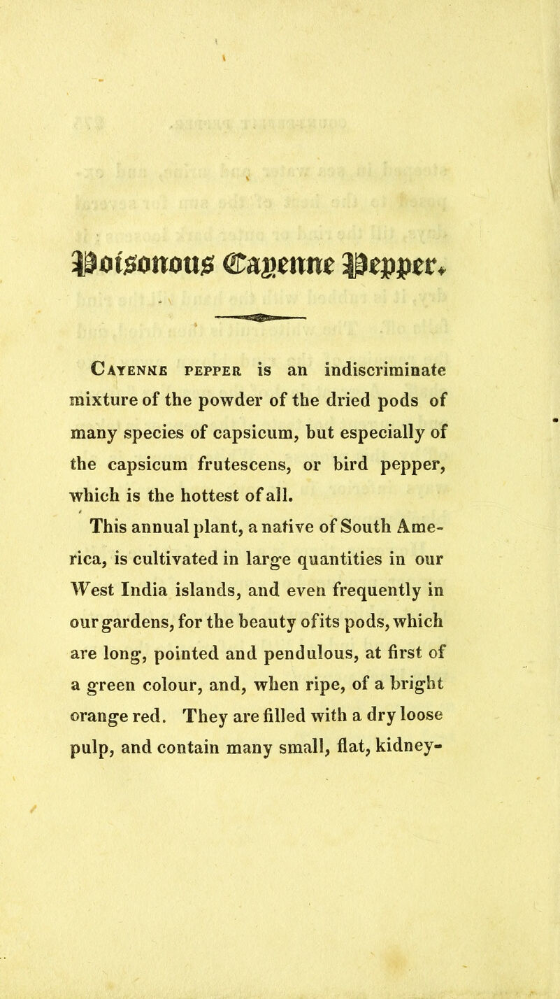 ^^tit5?onott)S eagmw Clipper. Cayenne pepper is an indiscriminate mixture of the powder of the dried pods of many species of capsicum, but especially of the capsicum frutescens, or bird pepper, which is the hottest of all. This annual plant, a native of South Ame- rica, is cultivated in large quantities in our West India islands, and even frequently in our gardens, for the beauty ofits pods, which are long, pointed and pendulous, at first of a green colour, and, when ripe, of a bright orange red. They are filled with a dry loose pulp, and contain many small, flat, kidney-