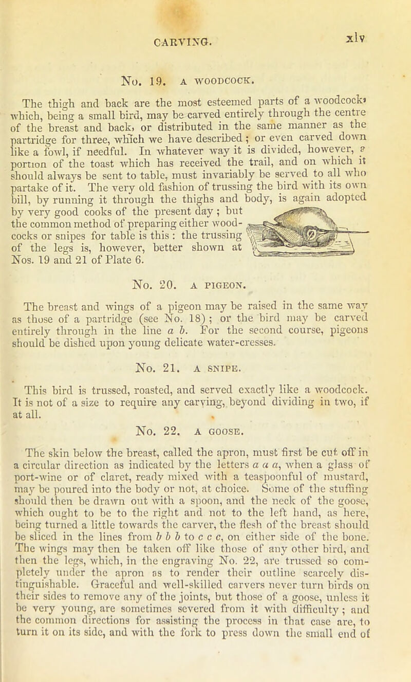 No. 19. A WOODCOCK. The thigh and back are the most esteemed parts of a woodcock* which, being a small bird, may be carved entirely through the centie of the breast and back> or distributed in the same manner as the partridge for three, which we have described; or even carved down like a fowl, if needful. In whatever way it is divided, however, p portion of the toast which has received the trail, and on which it should always be sent to table, must invariably be served to all who partake of it. The very old fashion of trussing the bird with its own bill, by running it through the thighs and body, is again adopted by very good cooks of the present day ; but the common method of preparing either wood- cocks or snipes for table is this : the trussing of the legs is, however, better shown at Nos. 19 and 21 of Plate 6. No. 20. A PIGEON. The breast and wings of a pigeon may be raised in the same way as those of a partridge (see No. 18) ; or the bird may be carved entirely through in the line a b. For the second course, pigeons should be dished upon young delicate water-cresses. No. 21. A SNIPE. This bird is trussed, roasted, and served exactly like a woodcock. It is not of a size to require any carving, beyond dividing in two, if at all. No. 22. A GOOSE. The skin below the breast, called the apron, must first be cut off in a circular direction as indicated by the letters a a a, when a glass of port-wine or of claret, ready mixed with a teaspoonful of mustard, may be poured into the body or not, at choice. Some of the stuffing should then be drawn out with a spoon, and the neck of the goose, which ought to be to the right and not to the left hand, as here, being turned a little towards the carver, the flesh of the breast should be sliced in the lines from b b b to c c c, on either side of the bone. The wings may then be taken off like those of any other bird, and then the legs, which, in the engraving No. 22, are trussed so com- pletely under the apron as to render their outline scarcely dis- tinguishable. Graceful and well-skilled carvers never turn birds on their sides to remove any of the joints, but those of a goose, unless it be very young, are sometimes severed from it with difficulty; and the common directions for assisting the process in that case are, to turn it on its side, and with the fork to press down the small end of